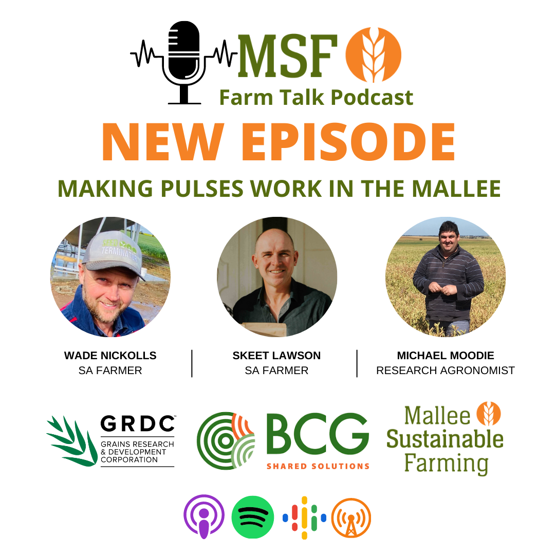 Making pulses work in the Mallee ft. SA Farmers Skeet Lawson & Wade Nickolls