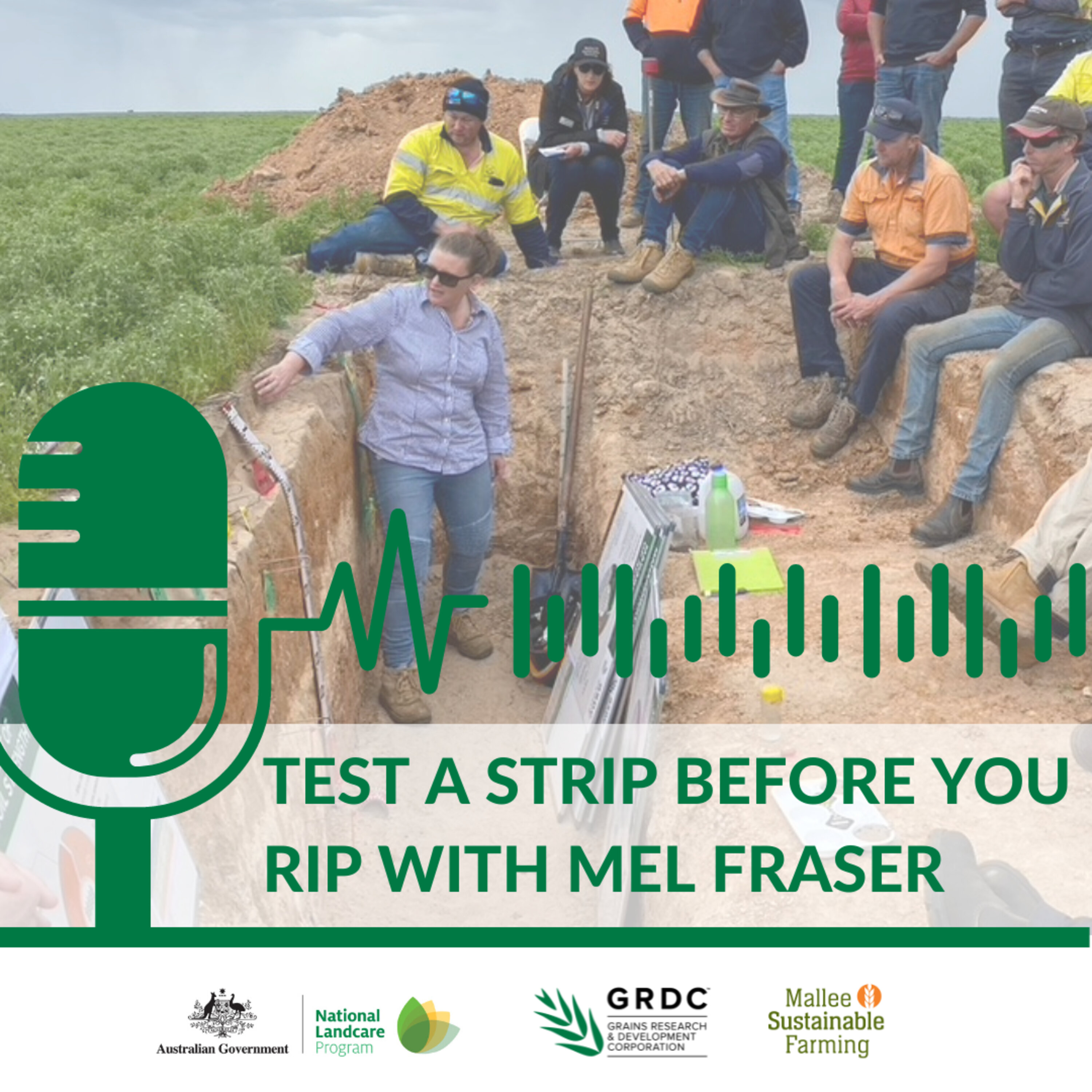 Test a strip before you rip with Mel Fraser