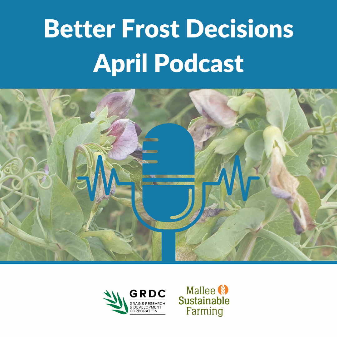 Better Frost Decisions April 2024 Podcast