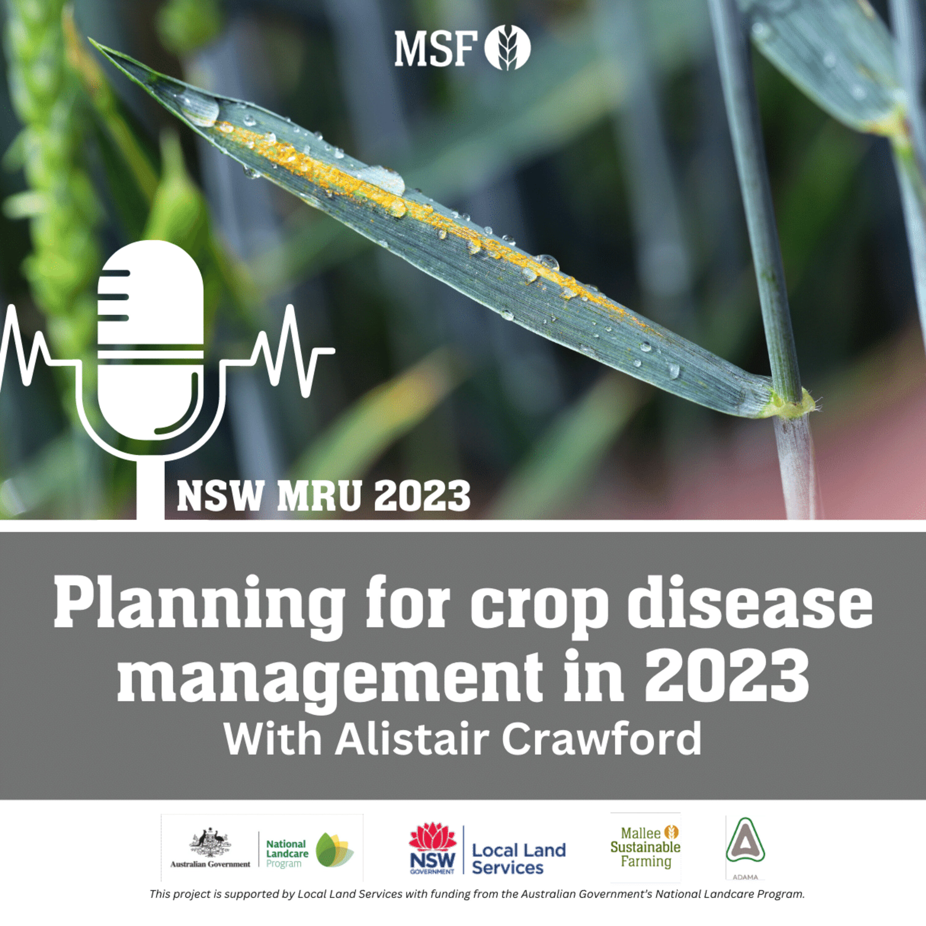 Leaf diseases to watch out for in '23 with Alistair Crawford