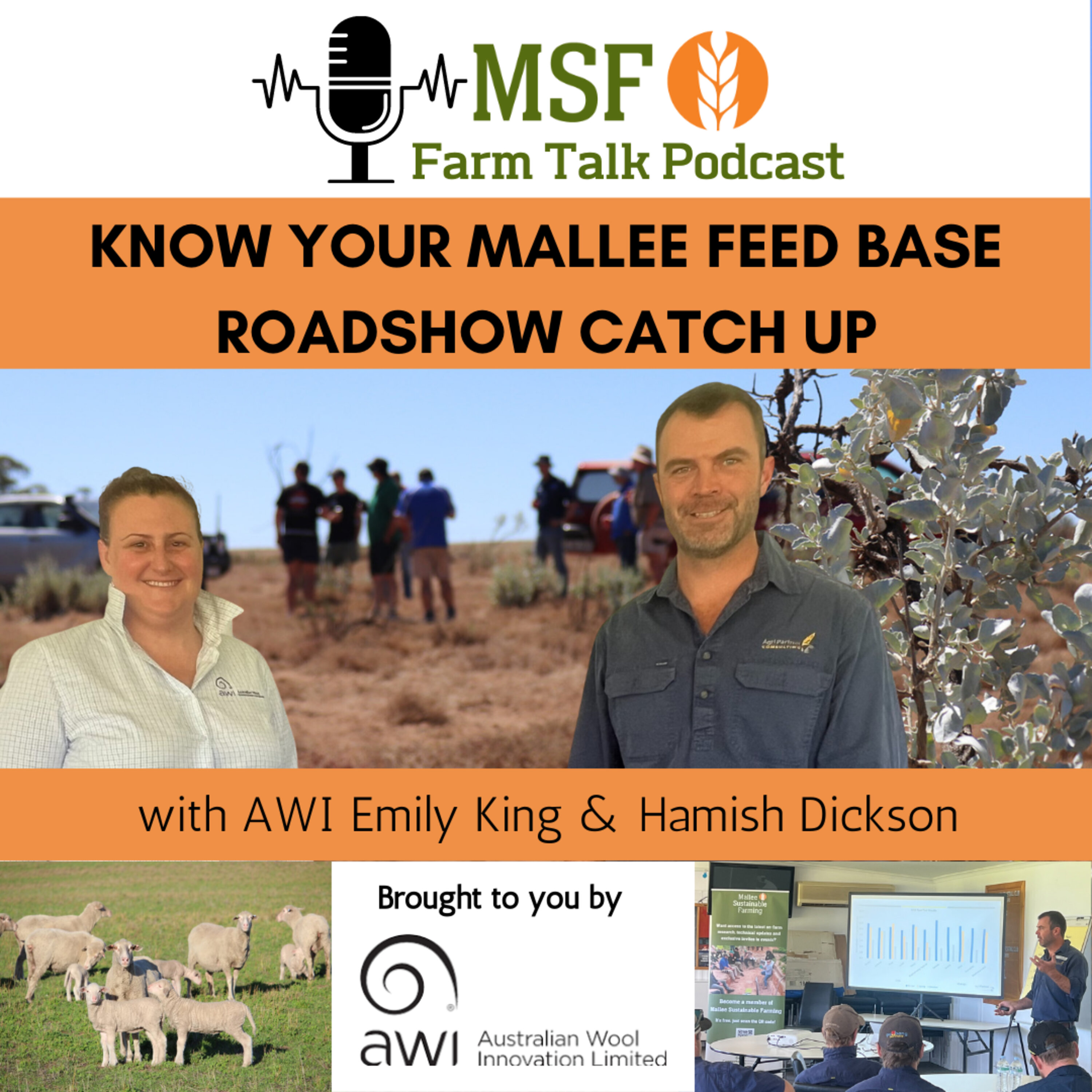 Know your Mallee feed base roadshow catch up.