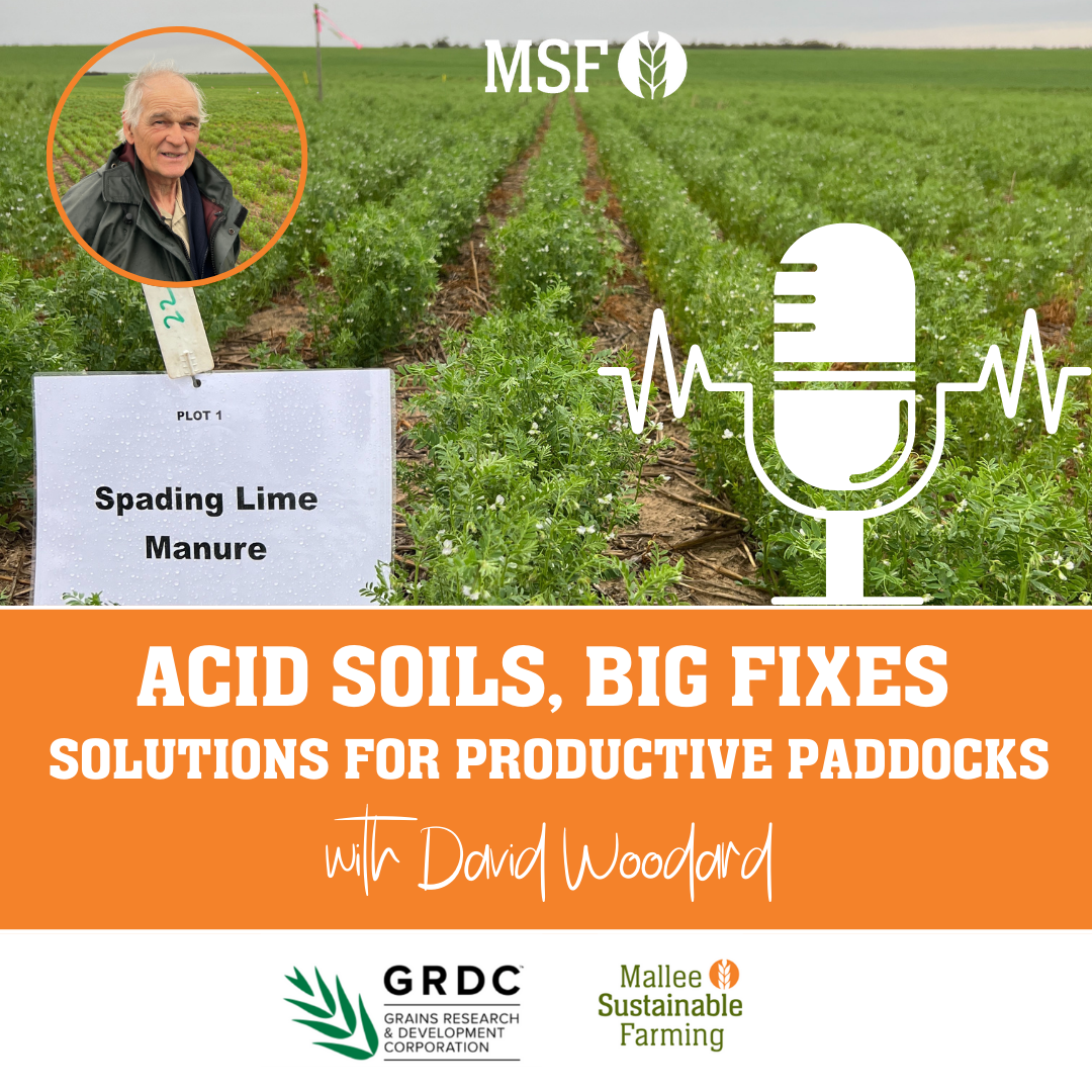 Acid Soils, Big Fixes - Solutions for Productive Paddocks