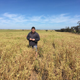 Maintaining stubble in legume rotations with Michael Moodie