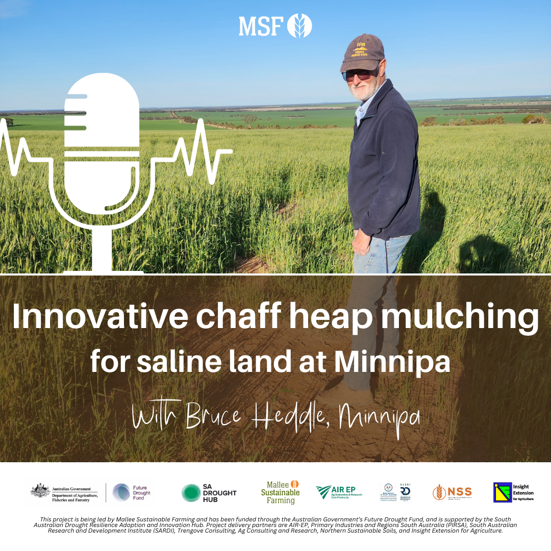 MSF Farm Talk Podcast