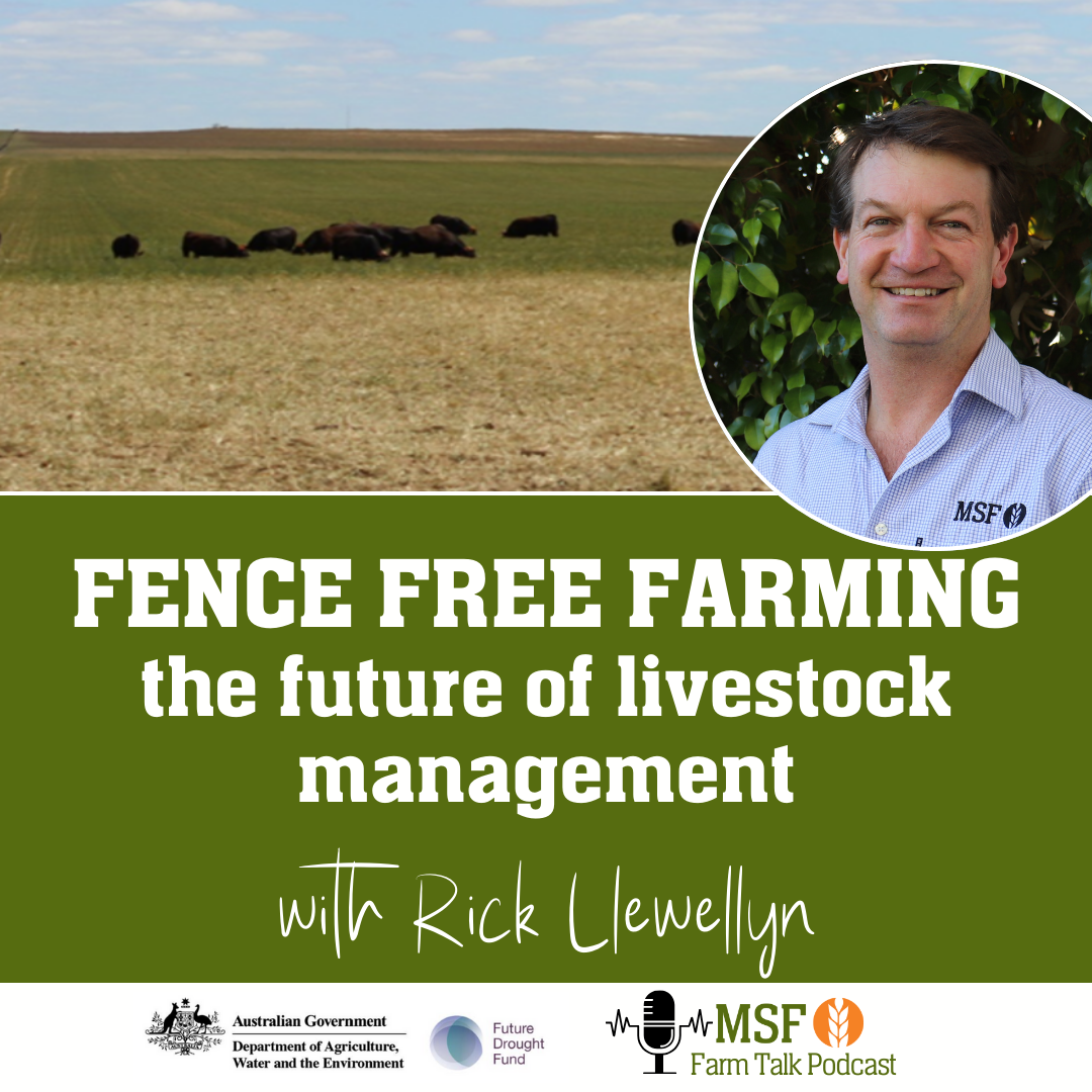 Fence-free farming - the future of livestock management