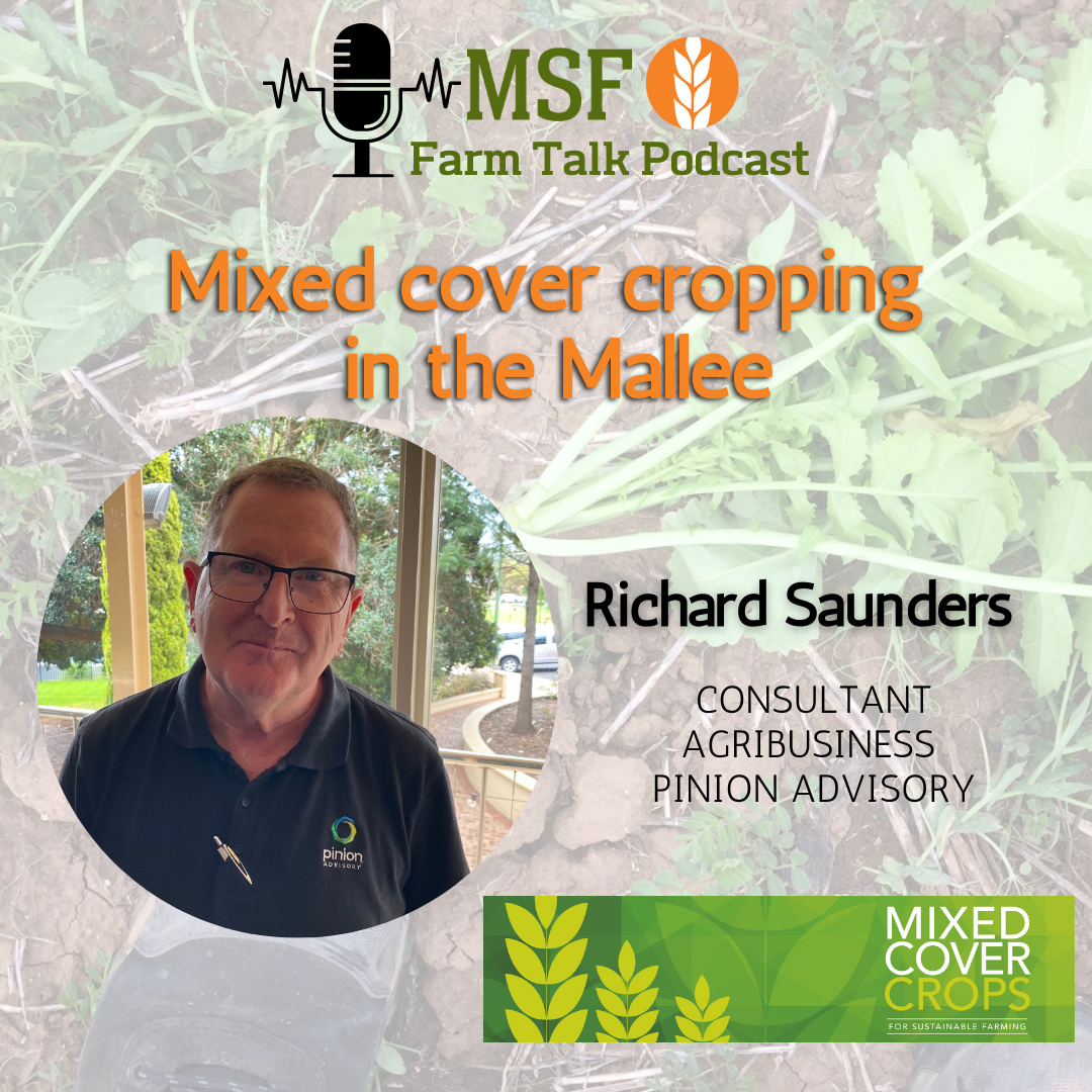 Mixed Cover Cropping in the Mallee