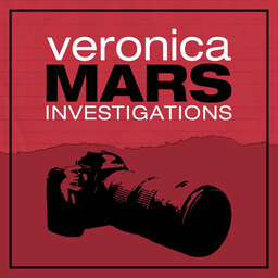 Veronica Mars Investigations Investigations season 3