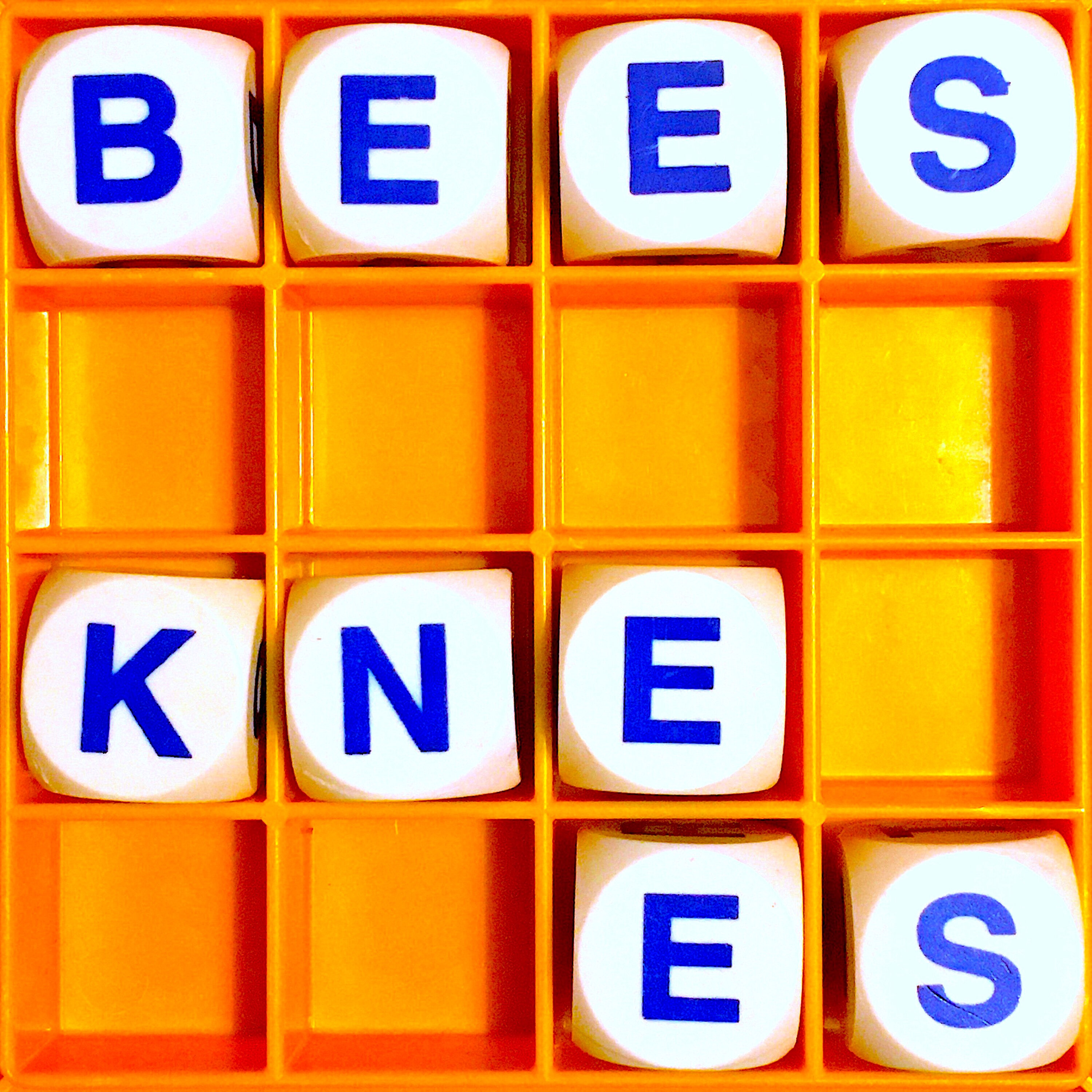 Thumbnail for "151. The Bee's Knees".