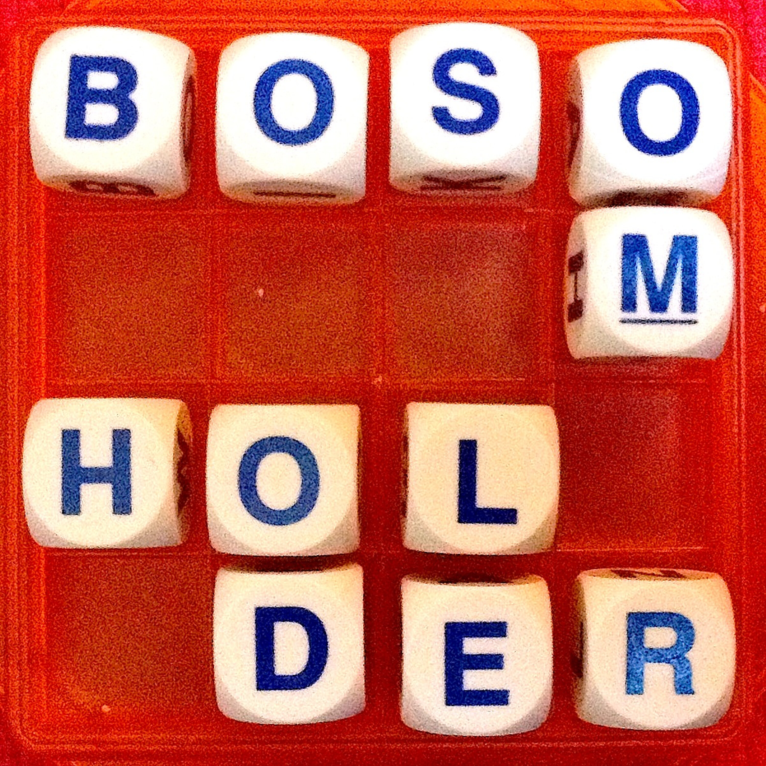 Thumbnail for "2. Bosom Holder".