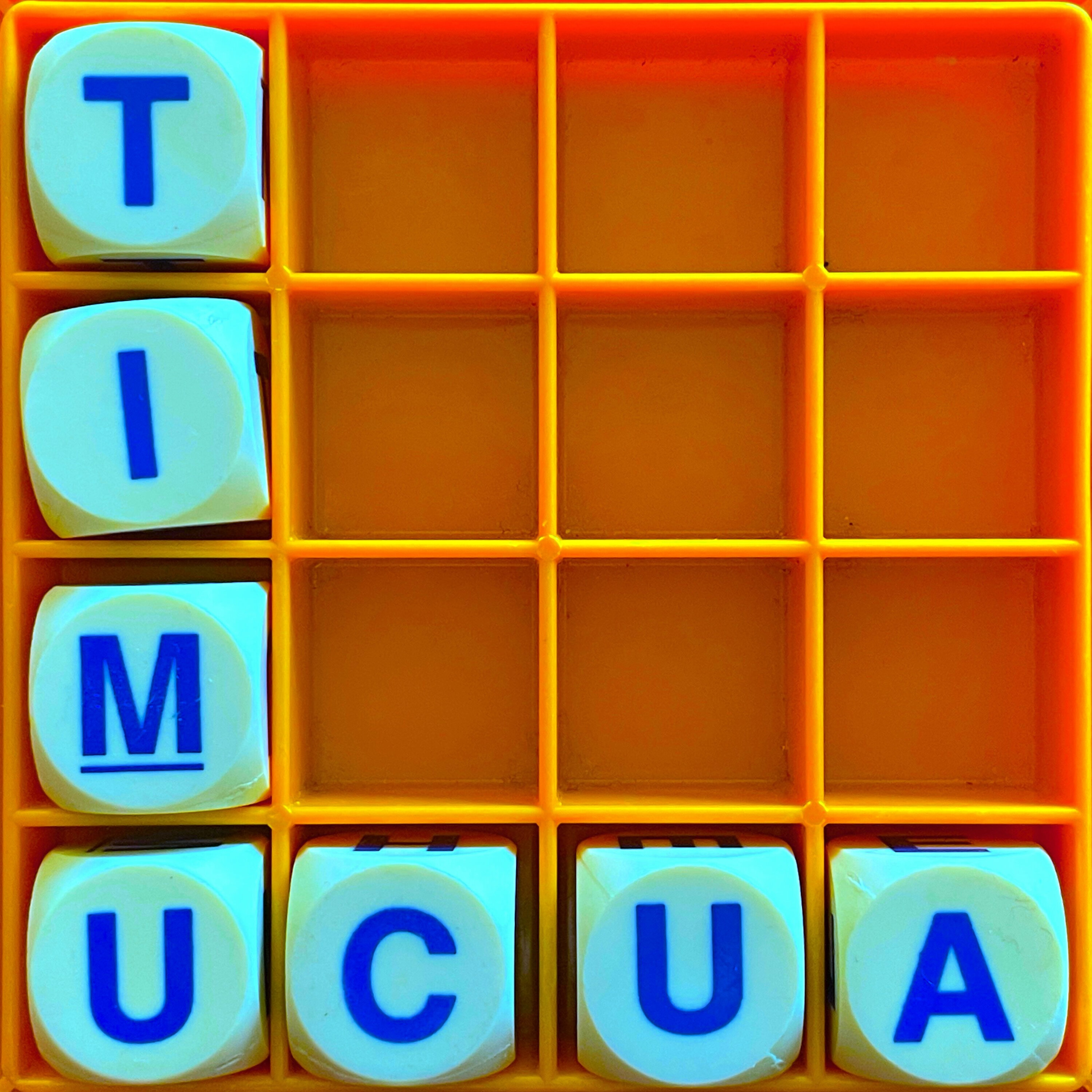 Thumbnail for "183. Timucua".