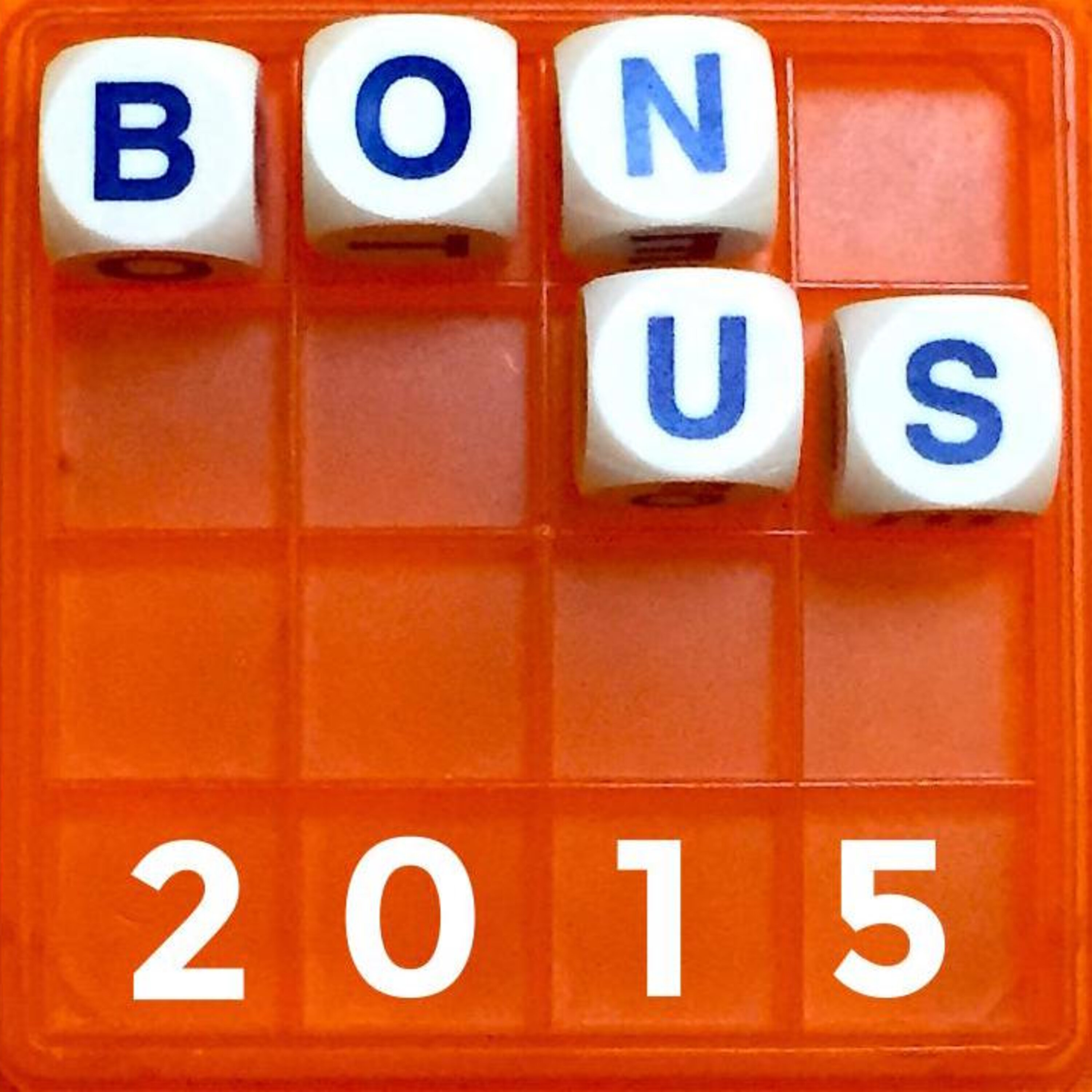 Thumbnail for "27. Bonus 2015".