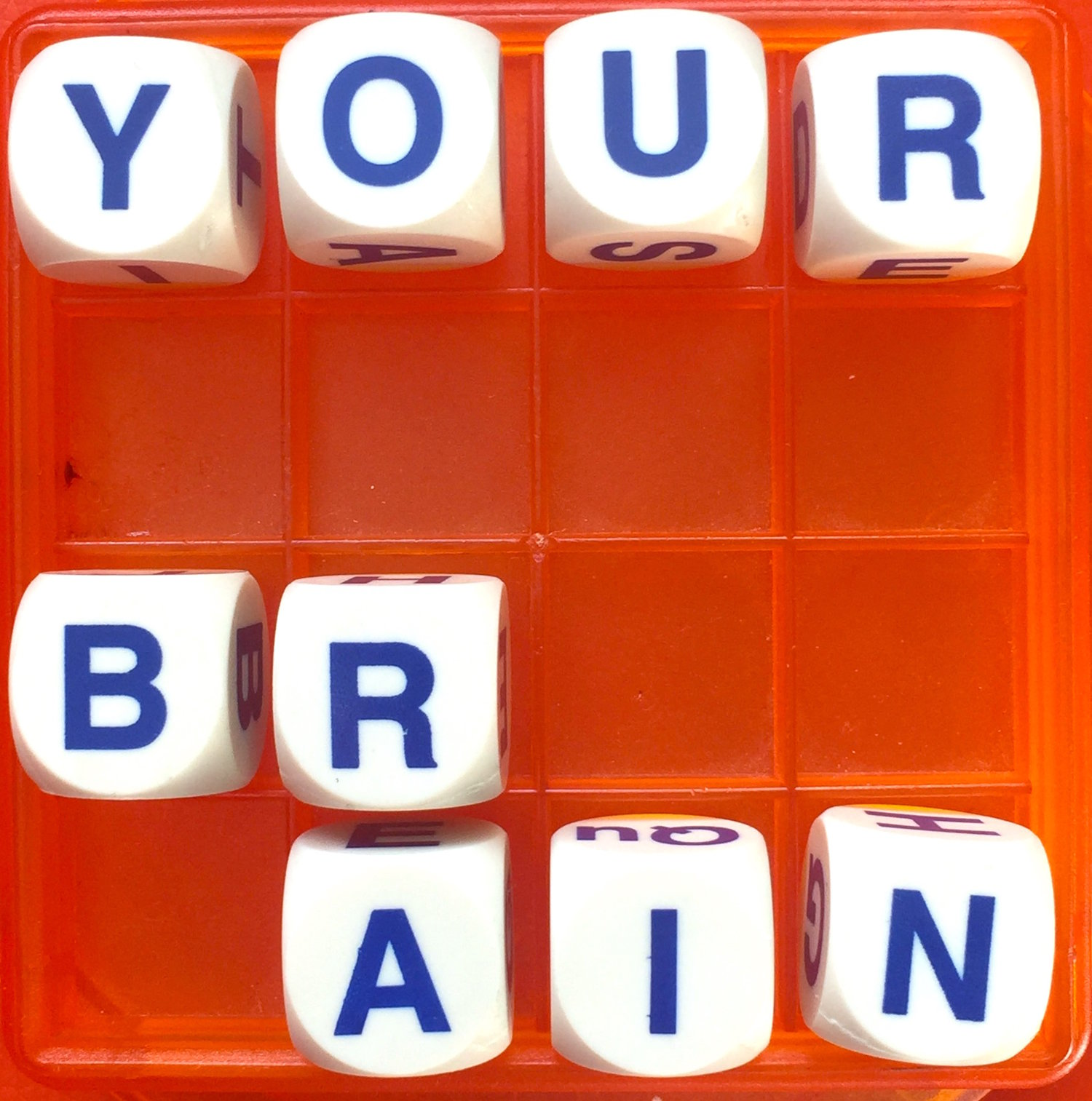 Thumbnail for "44: This Is Your Brain On Language".