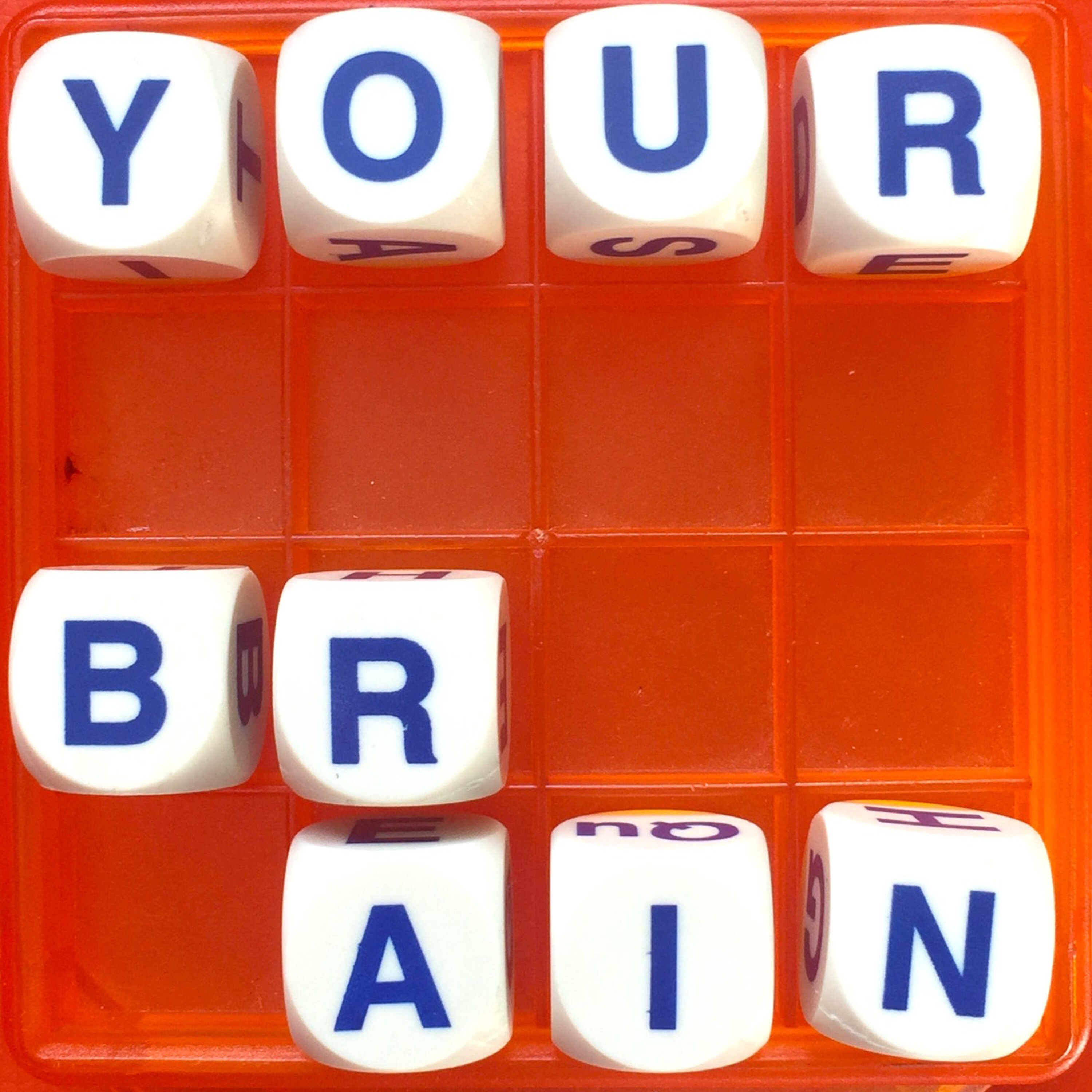 Thumbnail for "44: This Is Your Brain On Language".