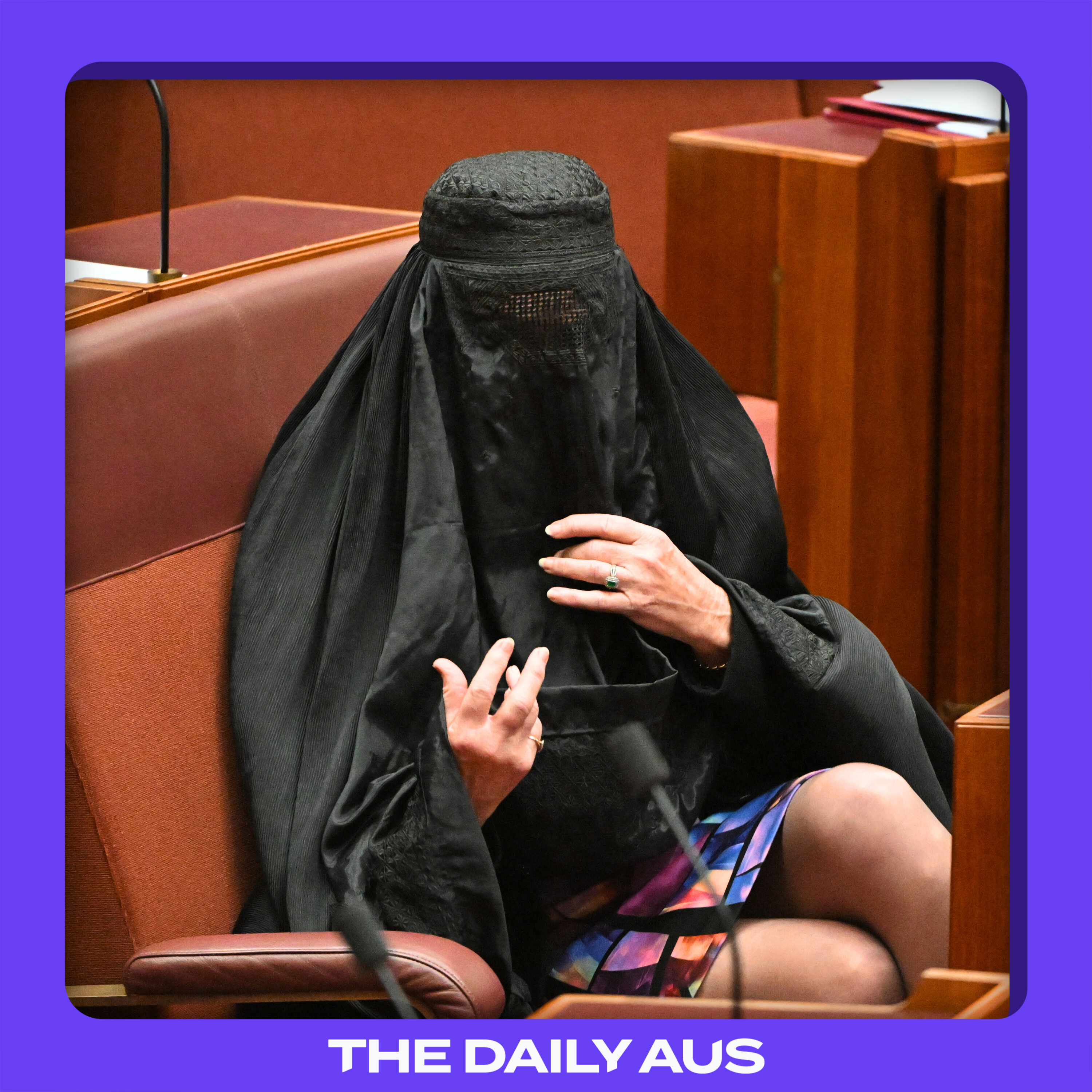 Why Pauline Hanson wore a burqa (again) episode artwork