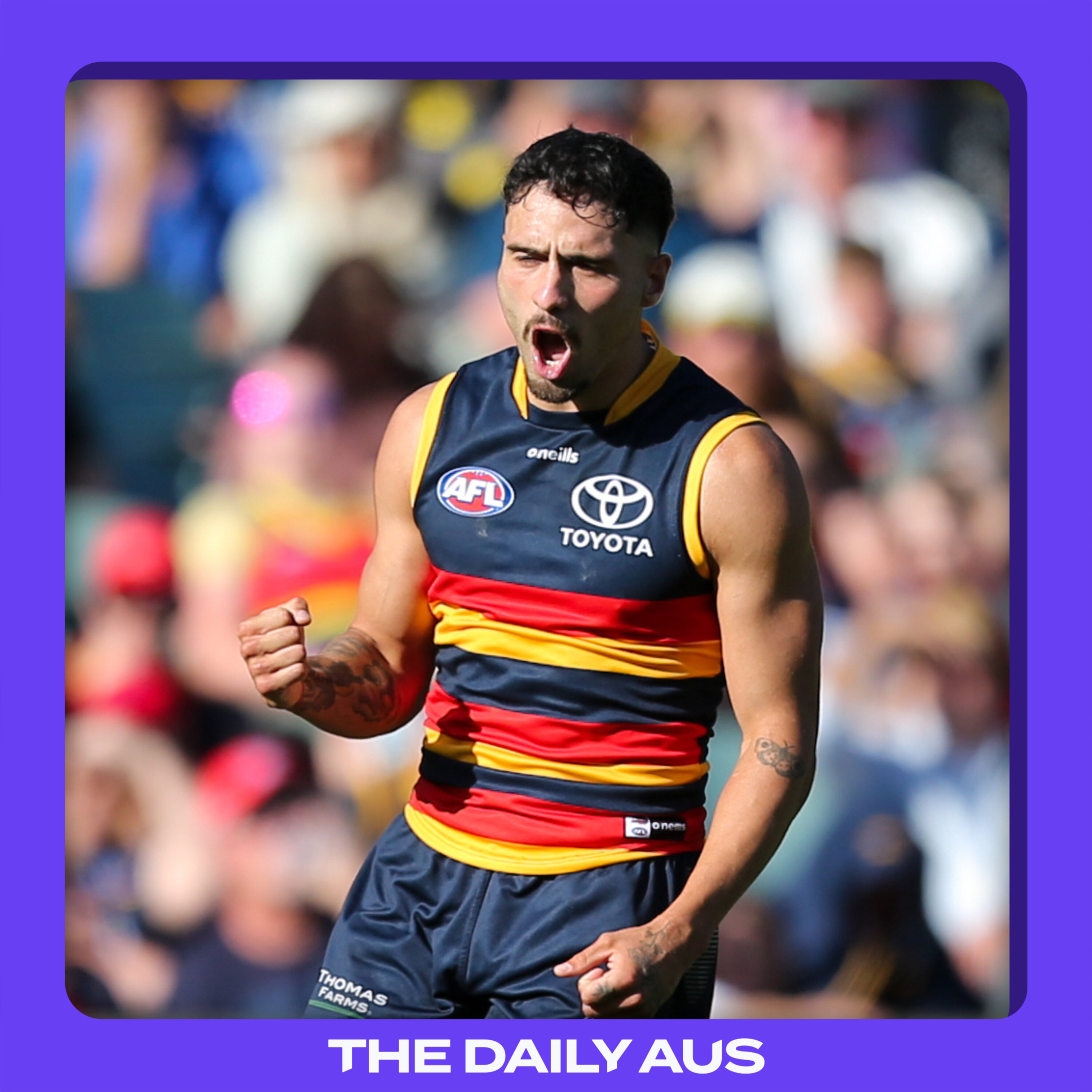 Does the AFL have a homophobia problem? episode artwork