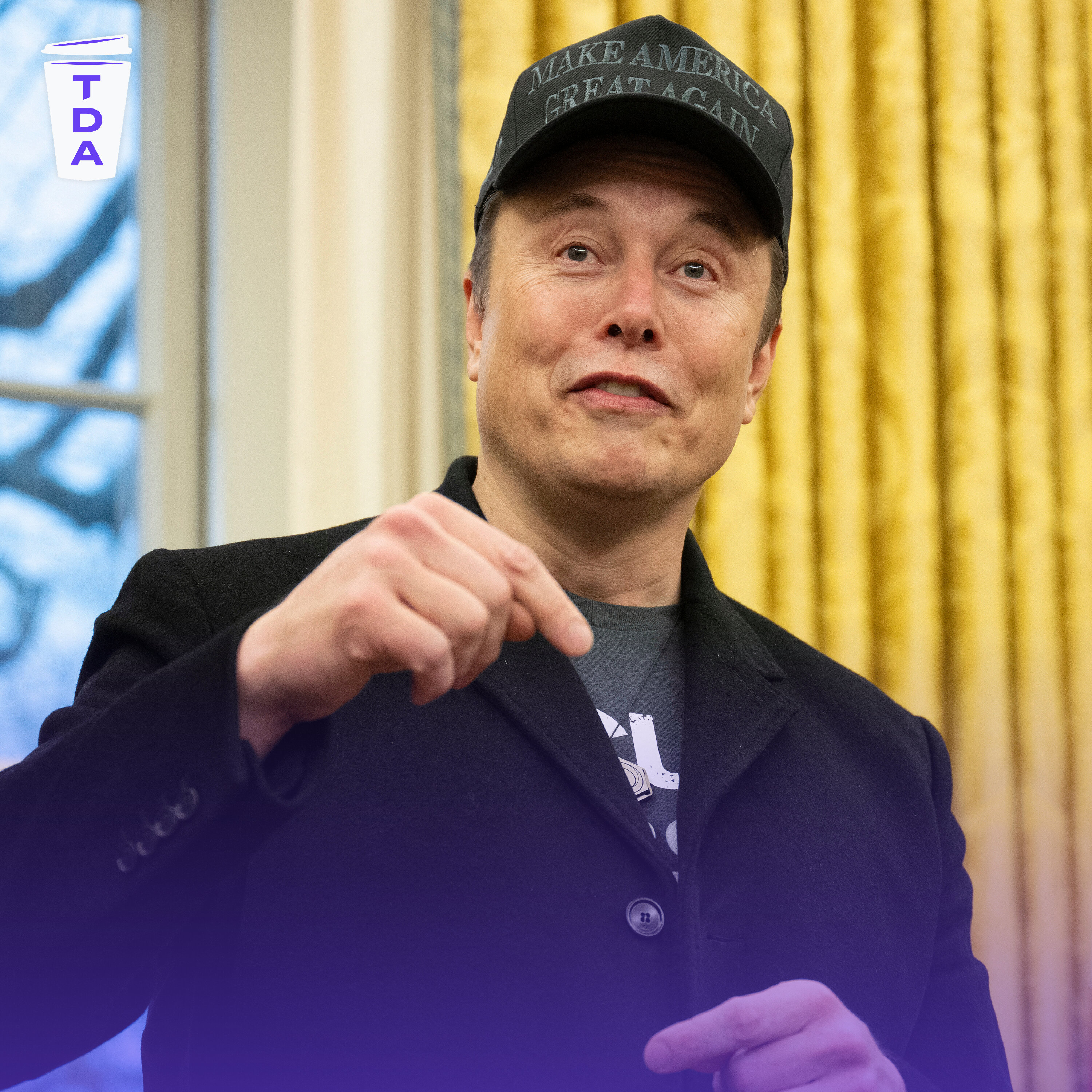 Elon Musk's role in the White House, explained episode artwork