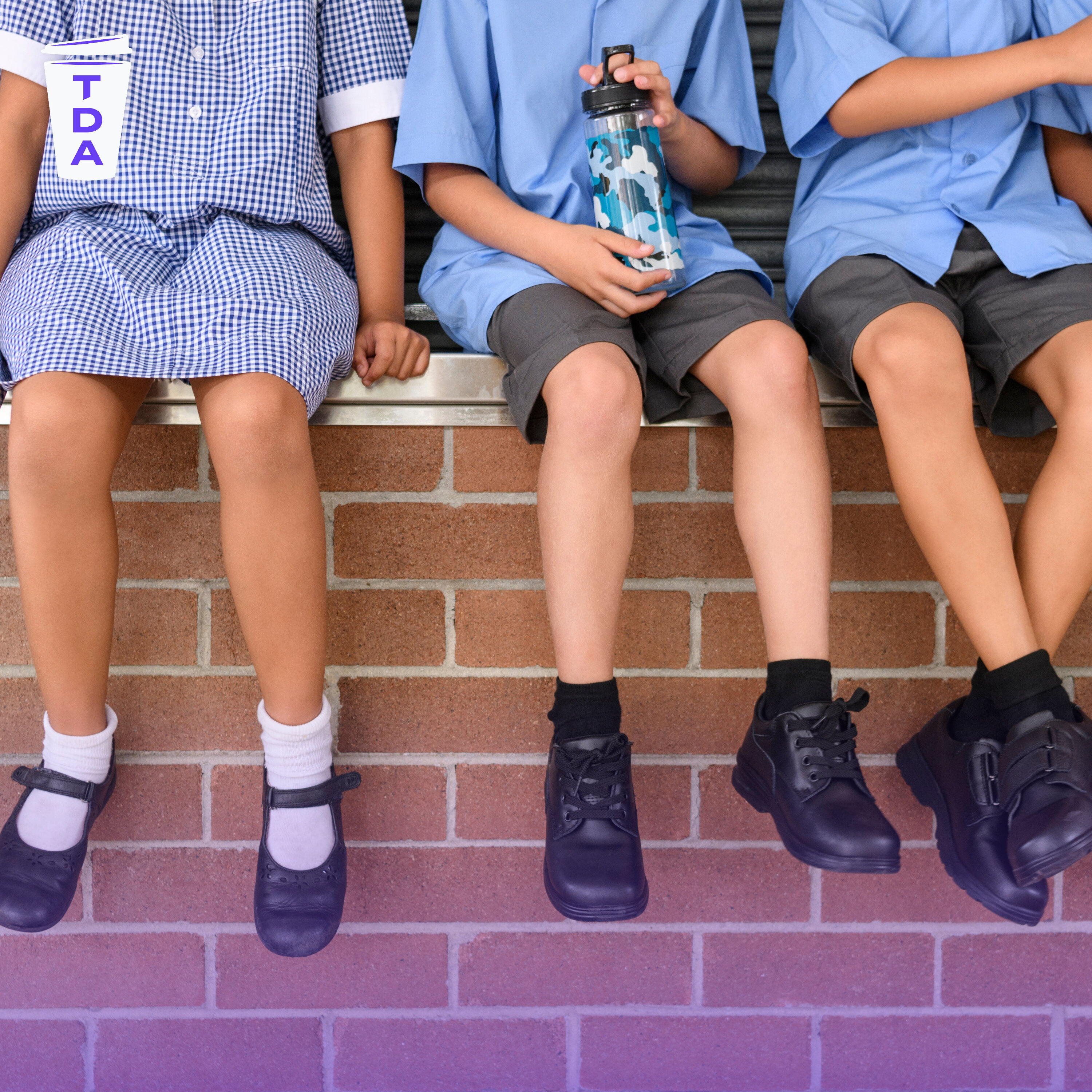 The push to consider young people in govt decisions episode artwork