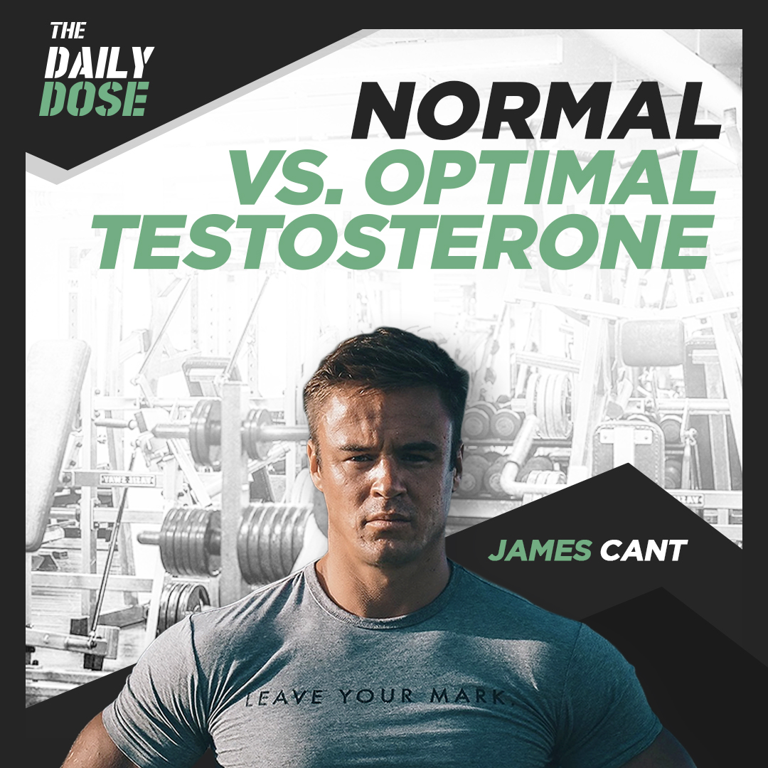The Daily Dose:  Normal Vs. Optimal Testosterone