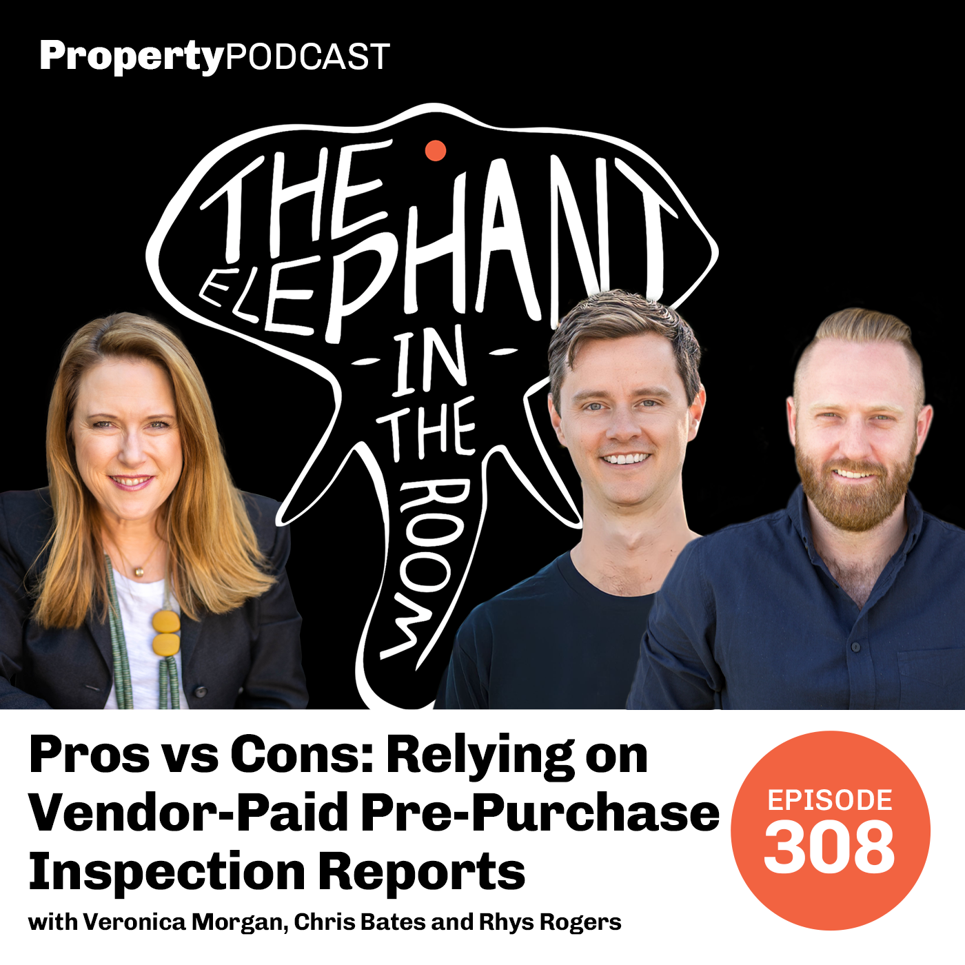 Pros vs Cons: Relying on Vendor-Paid Pre-Purchase Inspection Reports