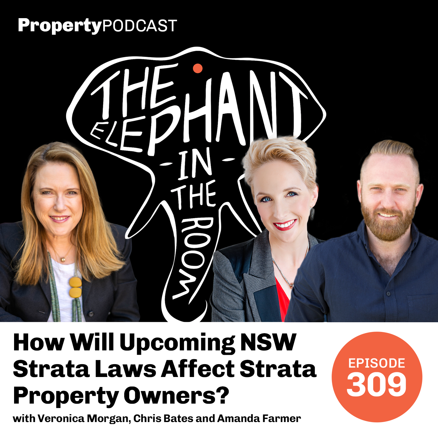 How Will Upcoming NSW Strata Laws Affect Strata Property Owners?
