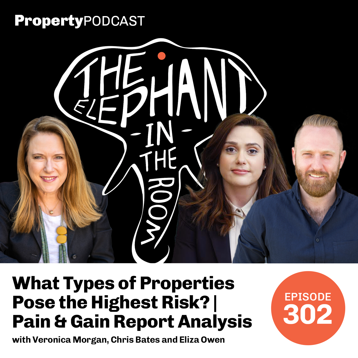 What Types of Properties Pose the Highest Risk? | Pain & Gain Report Analysis