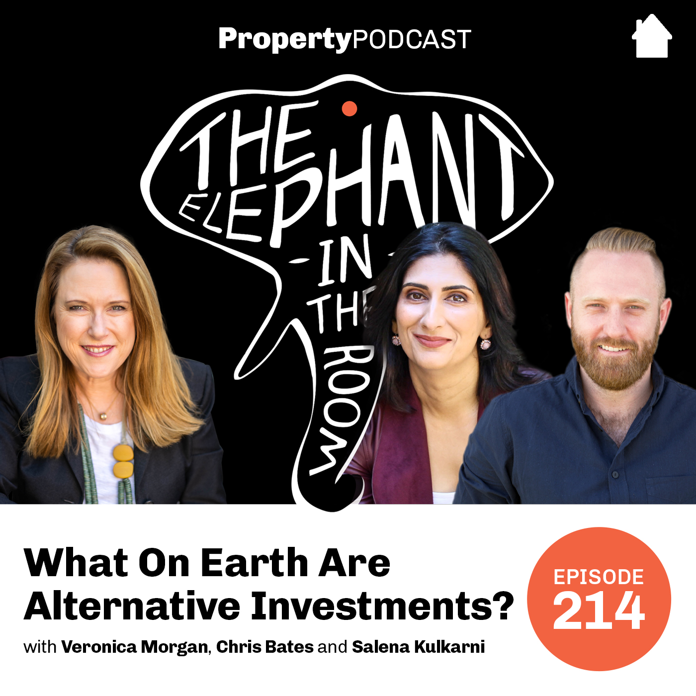 Salena Kulkarni | What On Earth Are Alternative Investments?