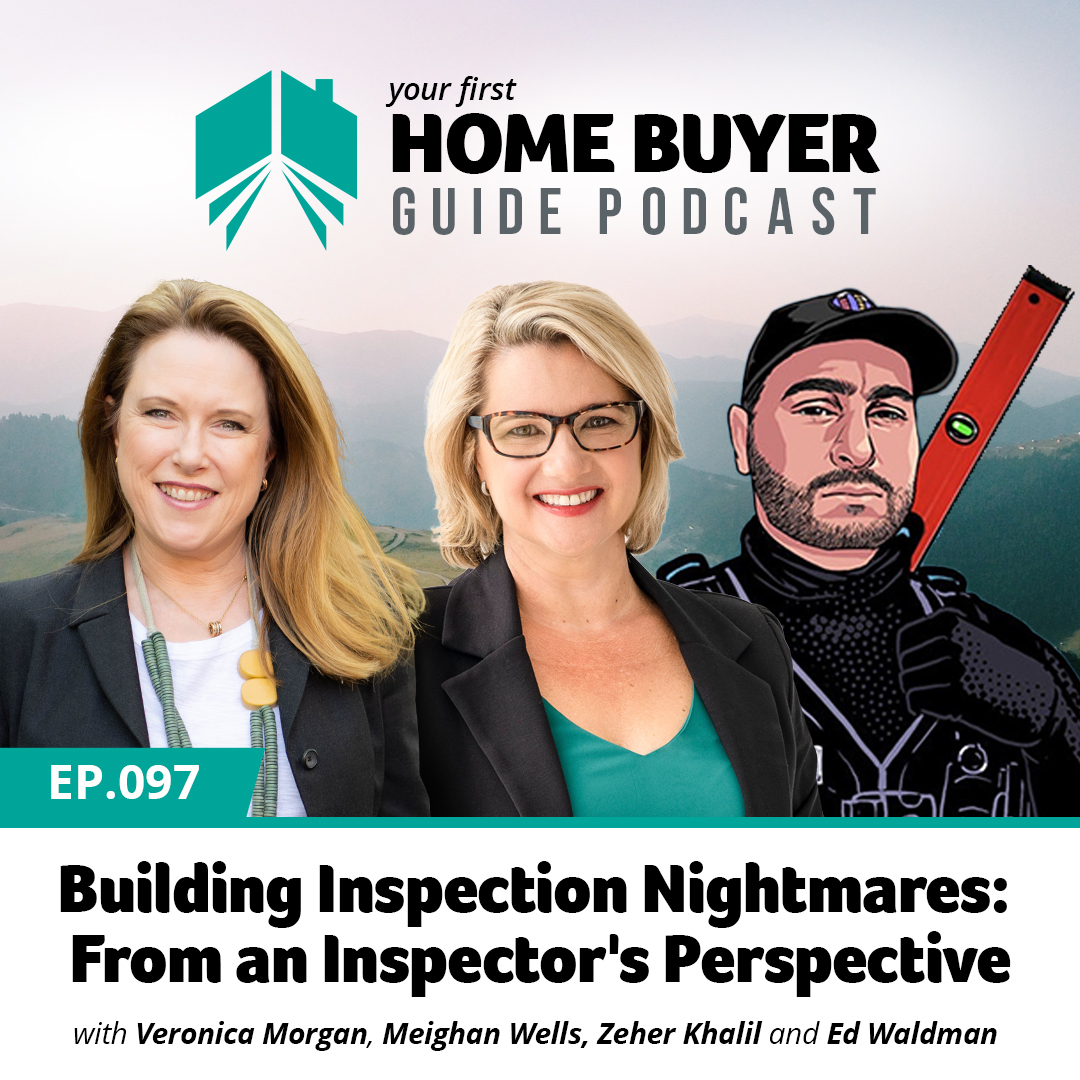 Building Inspection Nightmares: From an Inspector's Perspective | Zeher Khalil & Ed Waldman, Site Inspections