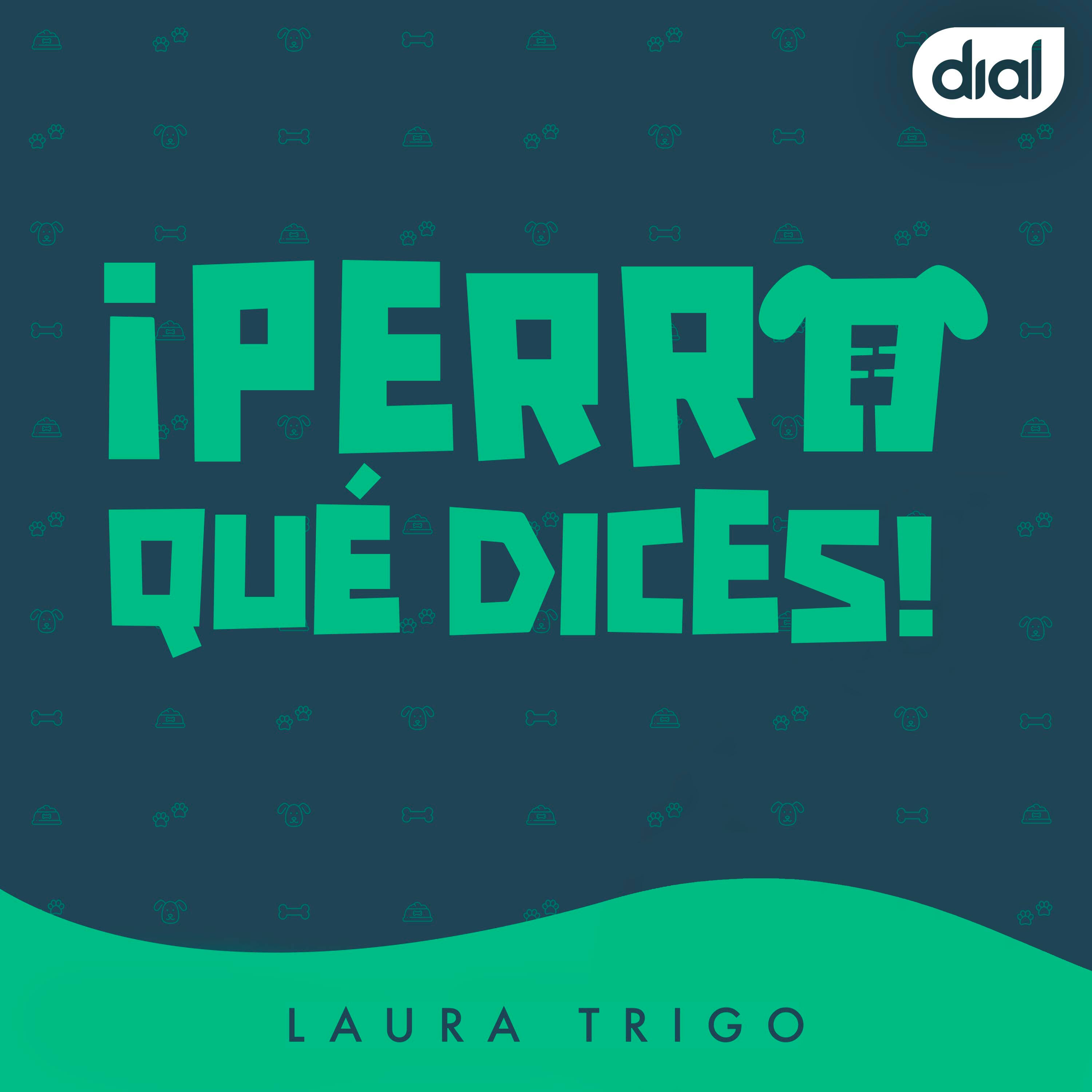 Entendiendo el gruñido episode artwork