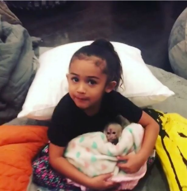 LISTEN: Chris Brown bought his daughter the most inappropriate present.