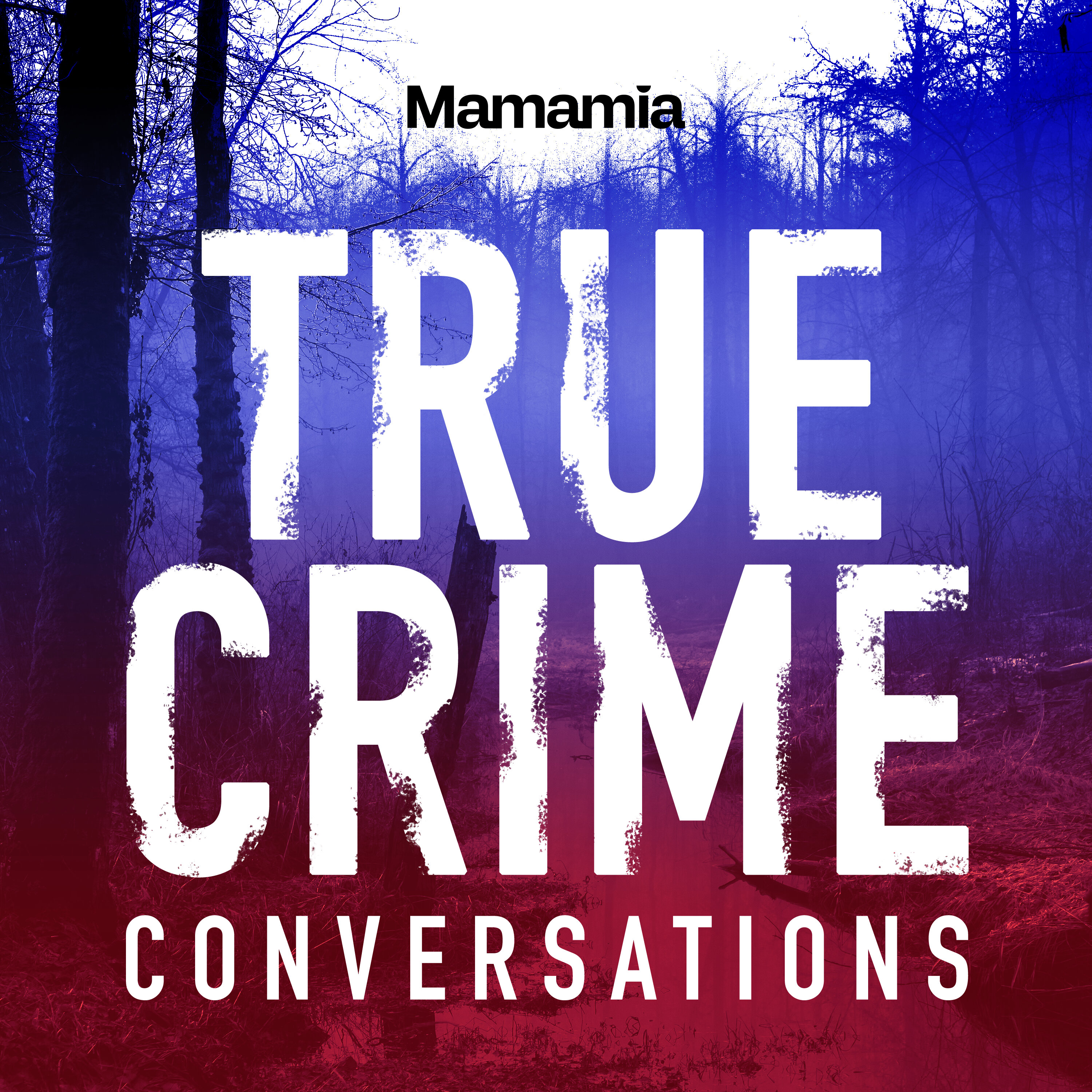 "What REALLY Happened When I Confronted Belle Gibson" episode artwork