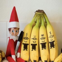 LISTEN: What the heck is an Elf on the shelf?