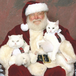 LISTEN: People are taking their pets to see Santa.