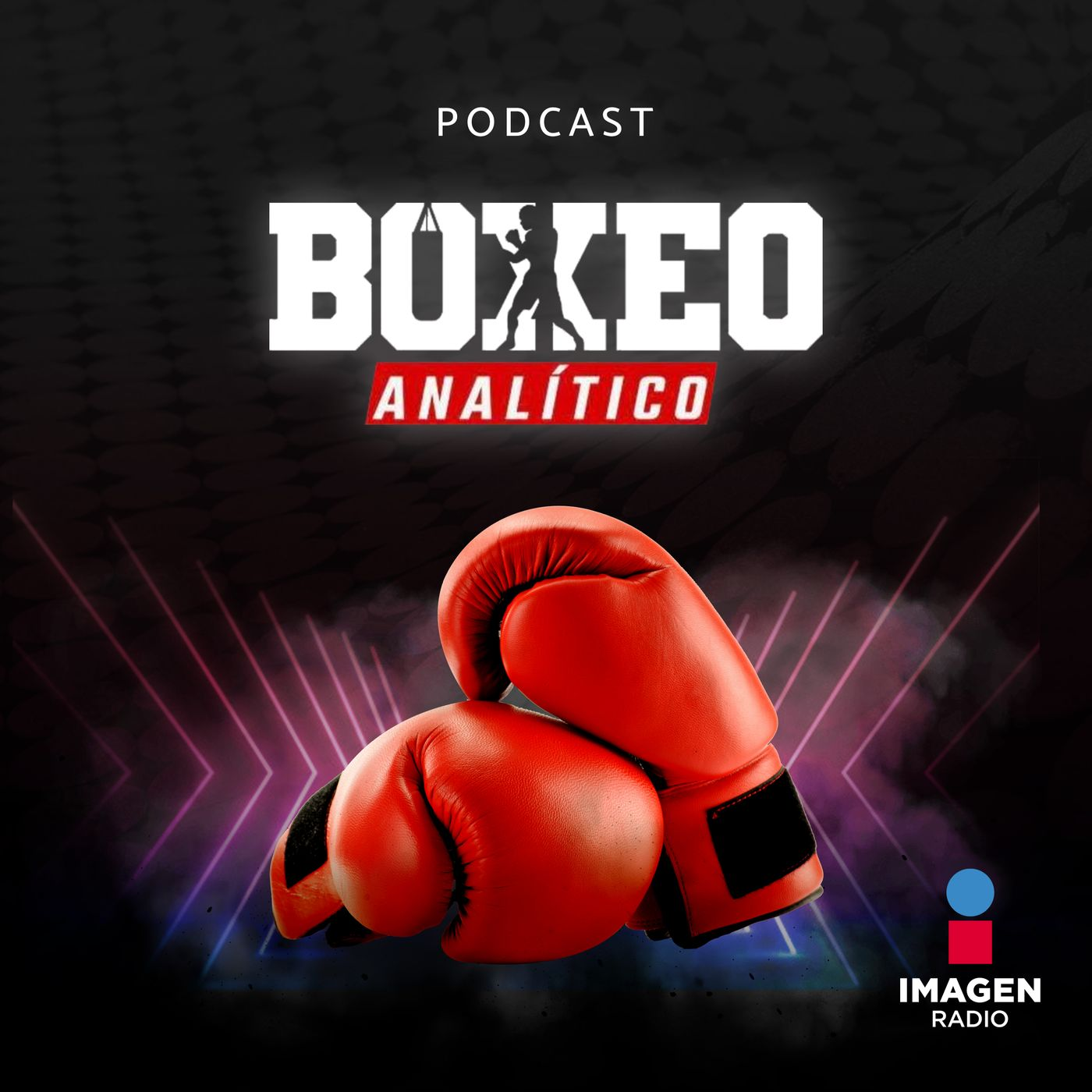 ¿Cómo se forma un juez de boxeo profesional?