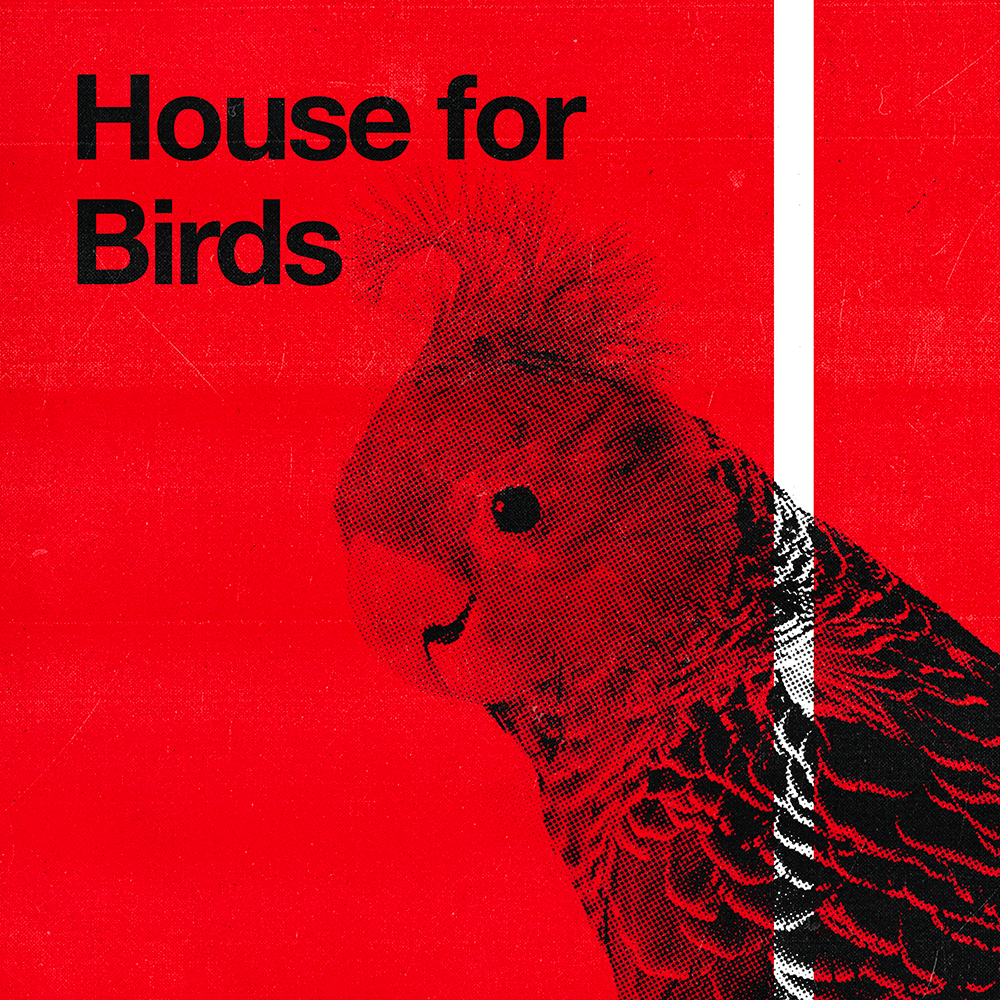 S2 Ep 4 - House for Birds