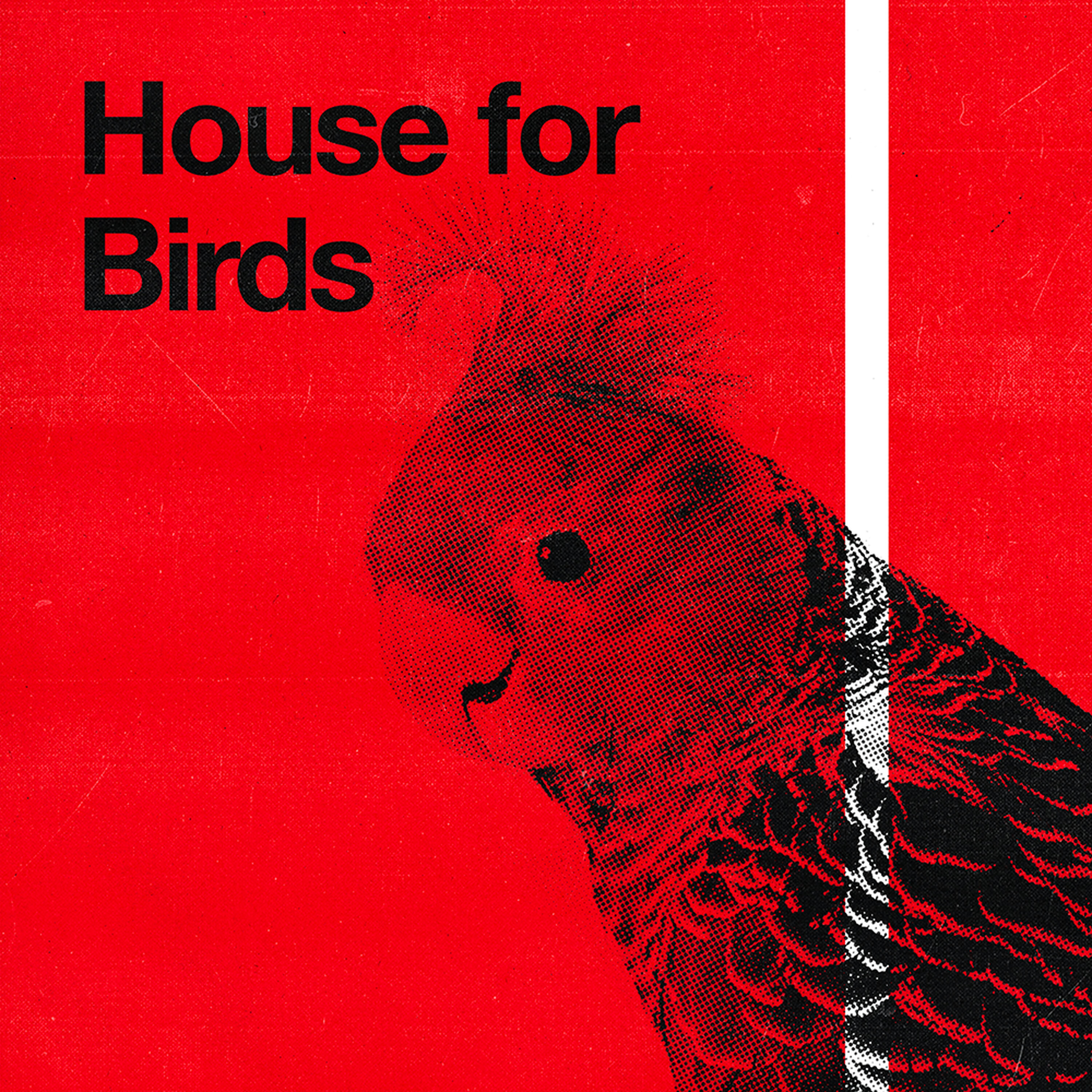 S2 Ep 4 - House for Birds episode artwork