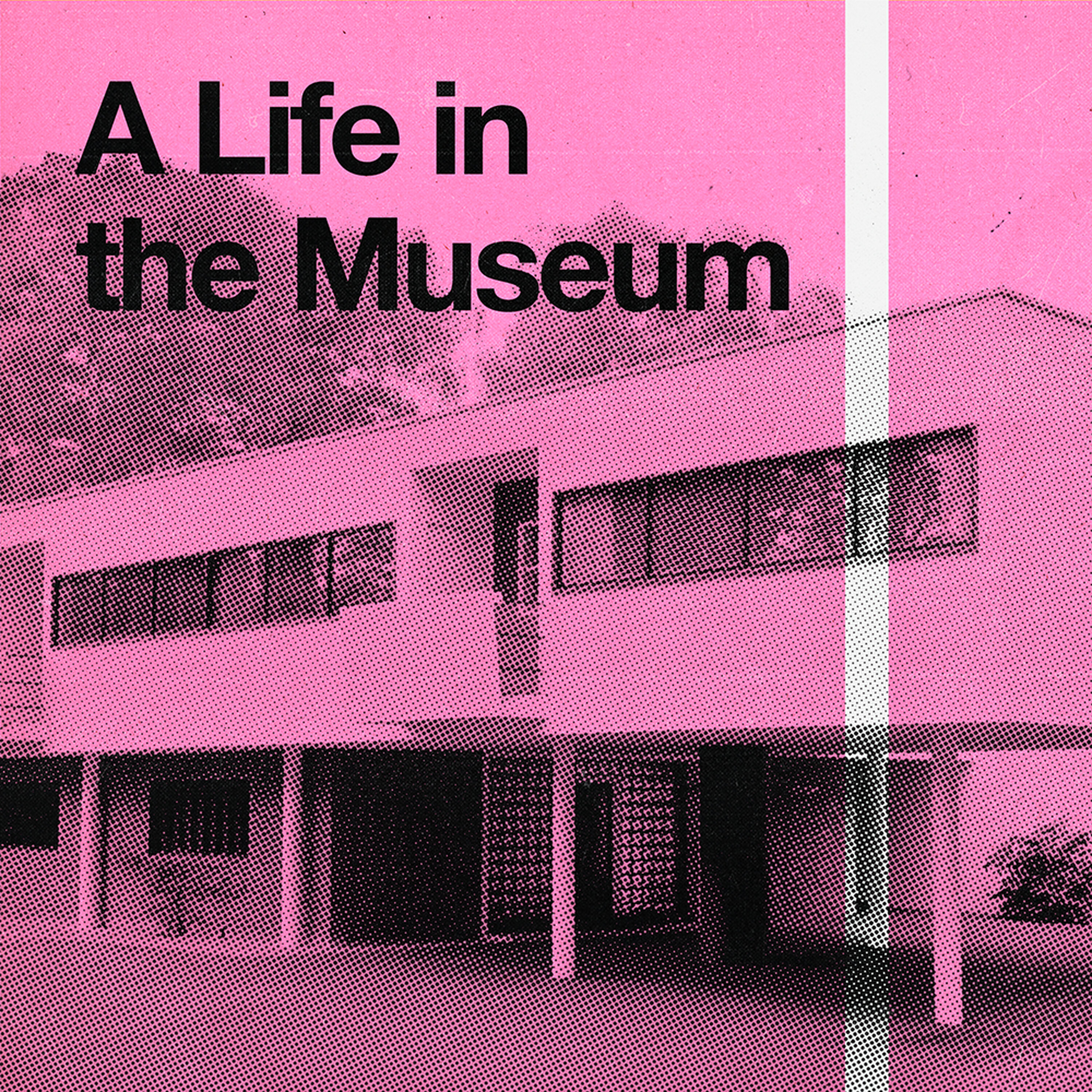 S2 Ep 3 - A Life in the Museum episode artwork
