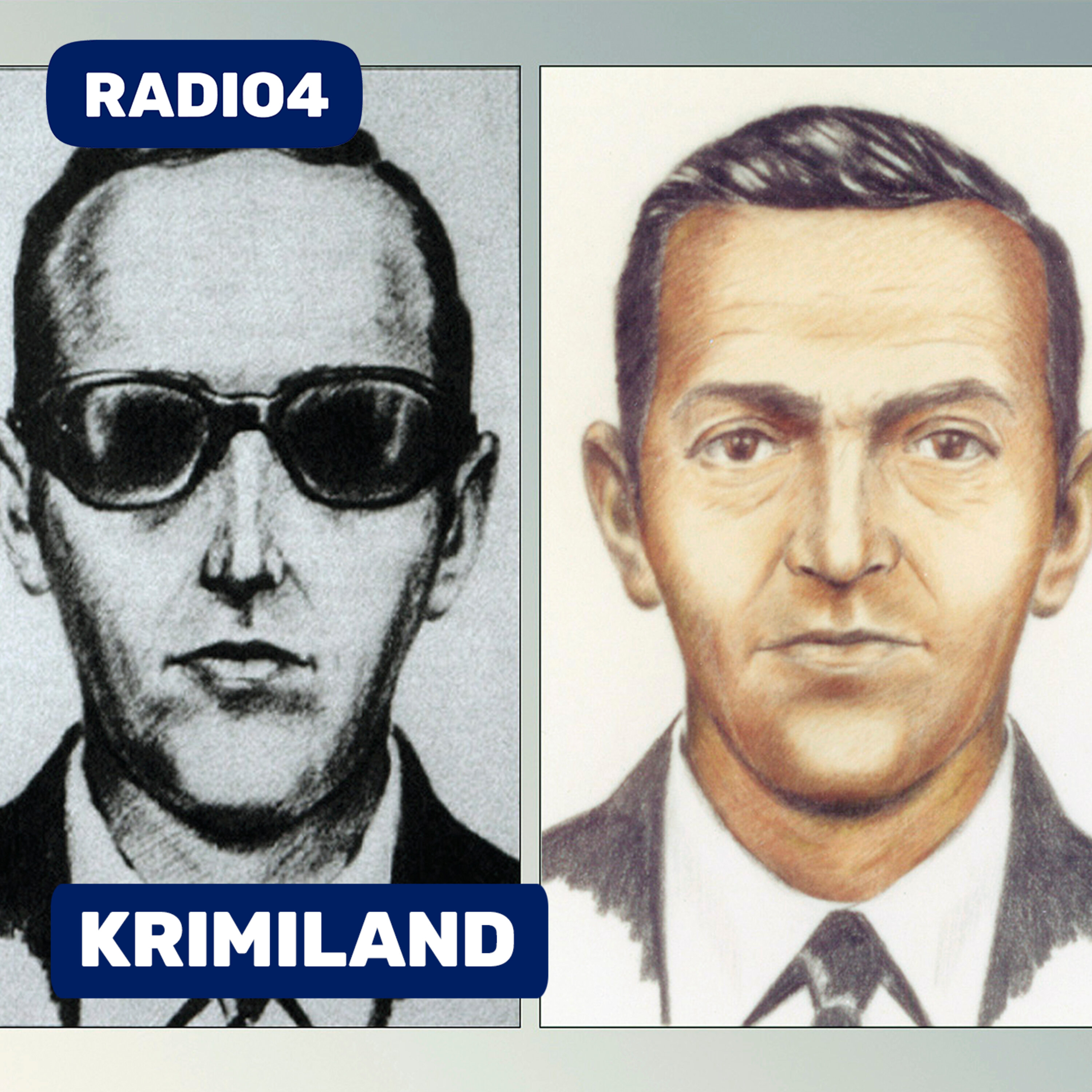 Flykapreren D. B. Cooper (3:3): Den amerikanske ånd