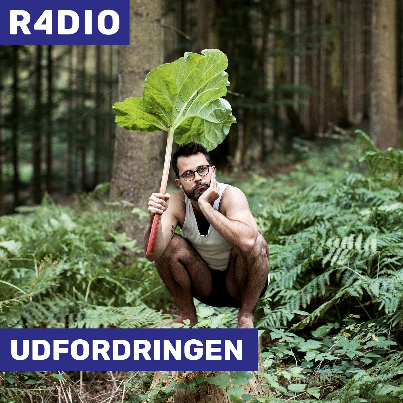 Udfordringen