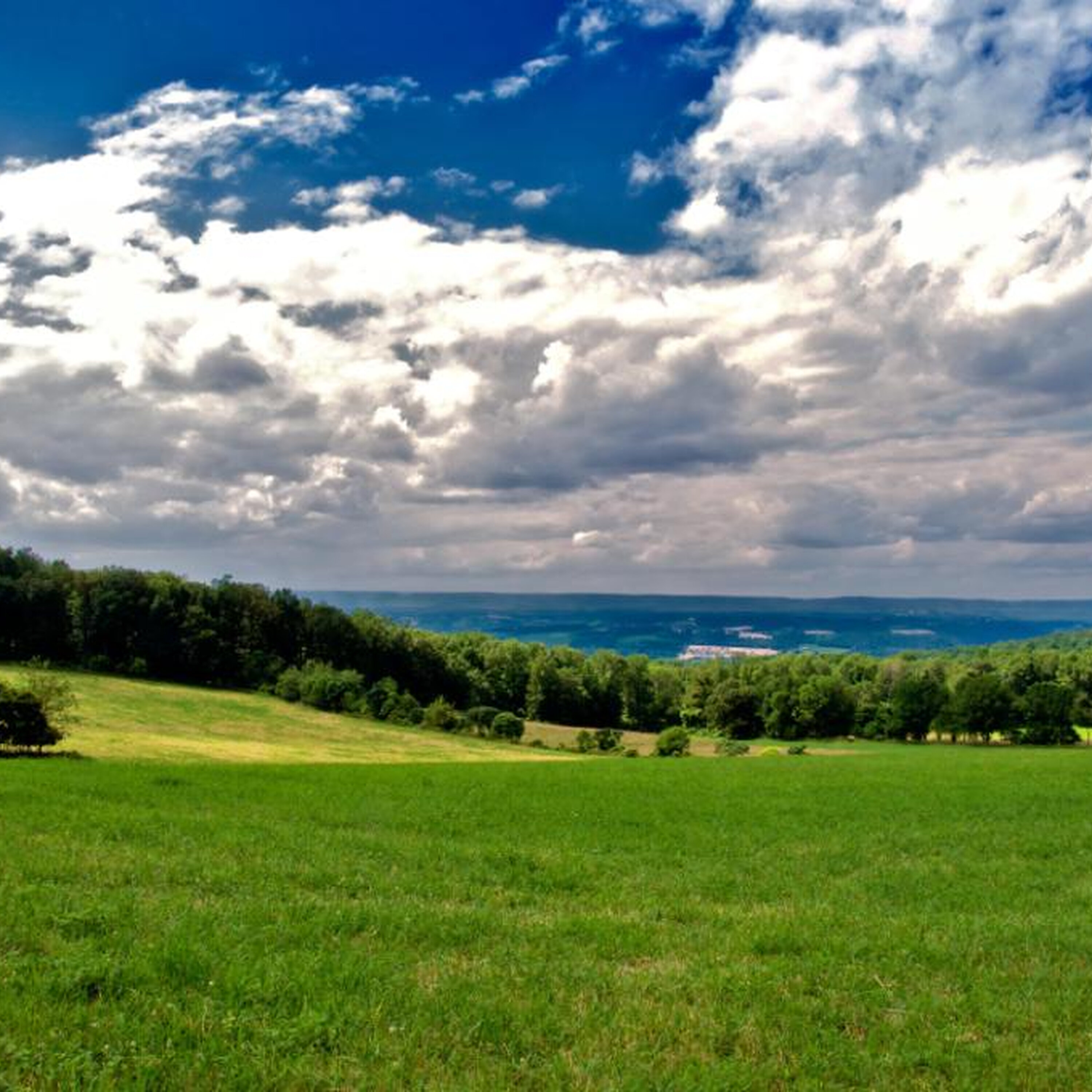 Monmouth; Farm and Agriculture episode artwork
