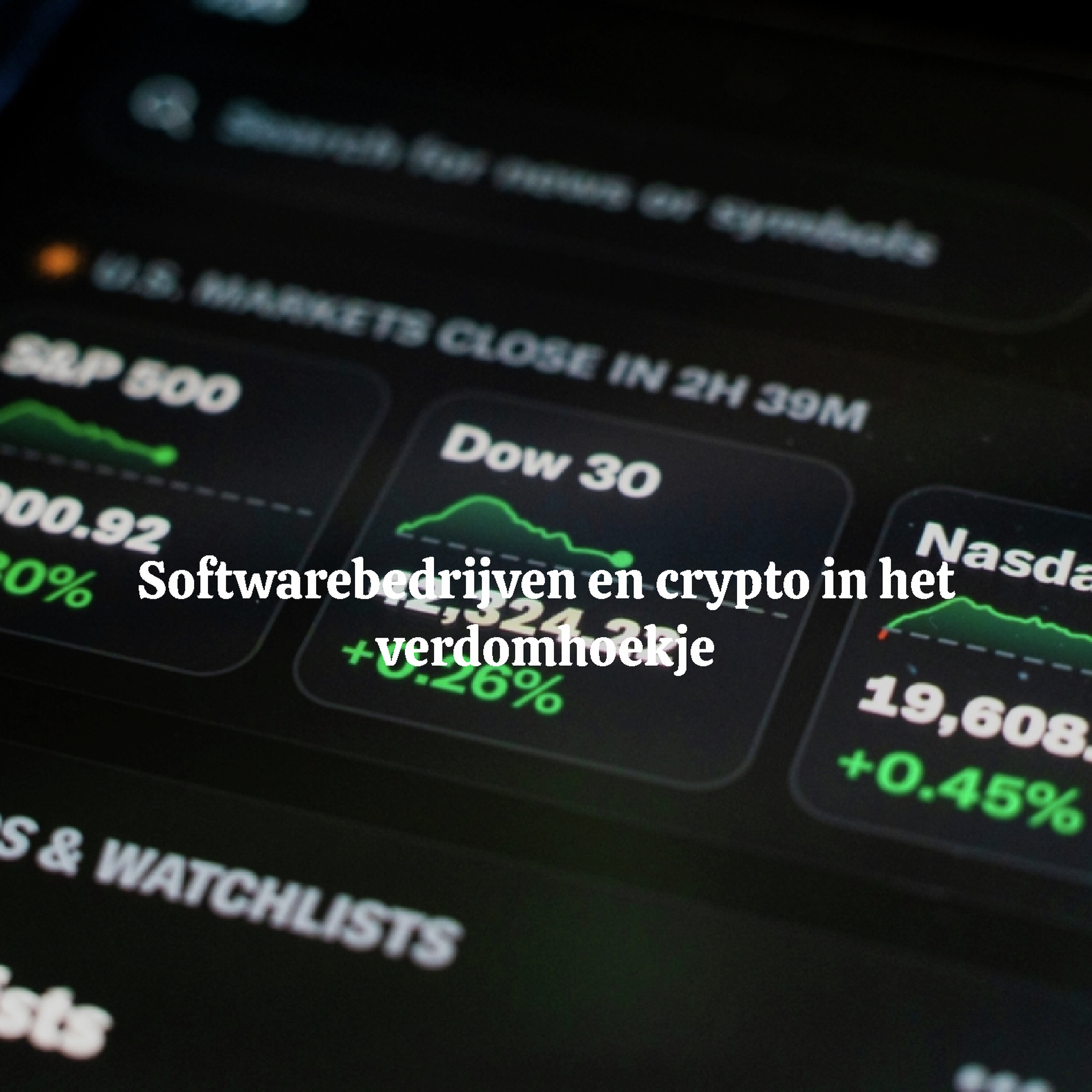 Softwarebedrijven en crypto in het verdomhoekje Softwarebedrijven en crypto in het verdomhoekje