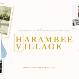 Harambe Village Doulas [Community & Cultural Awareness]