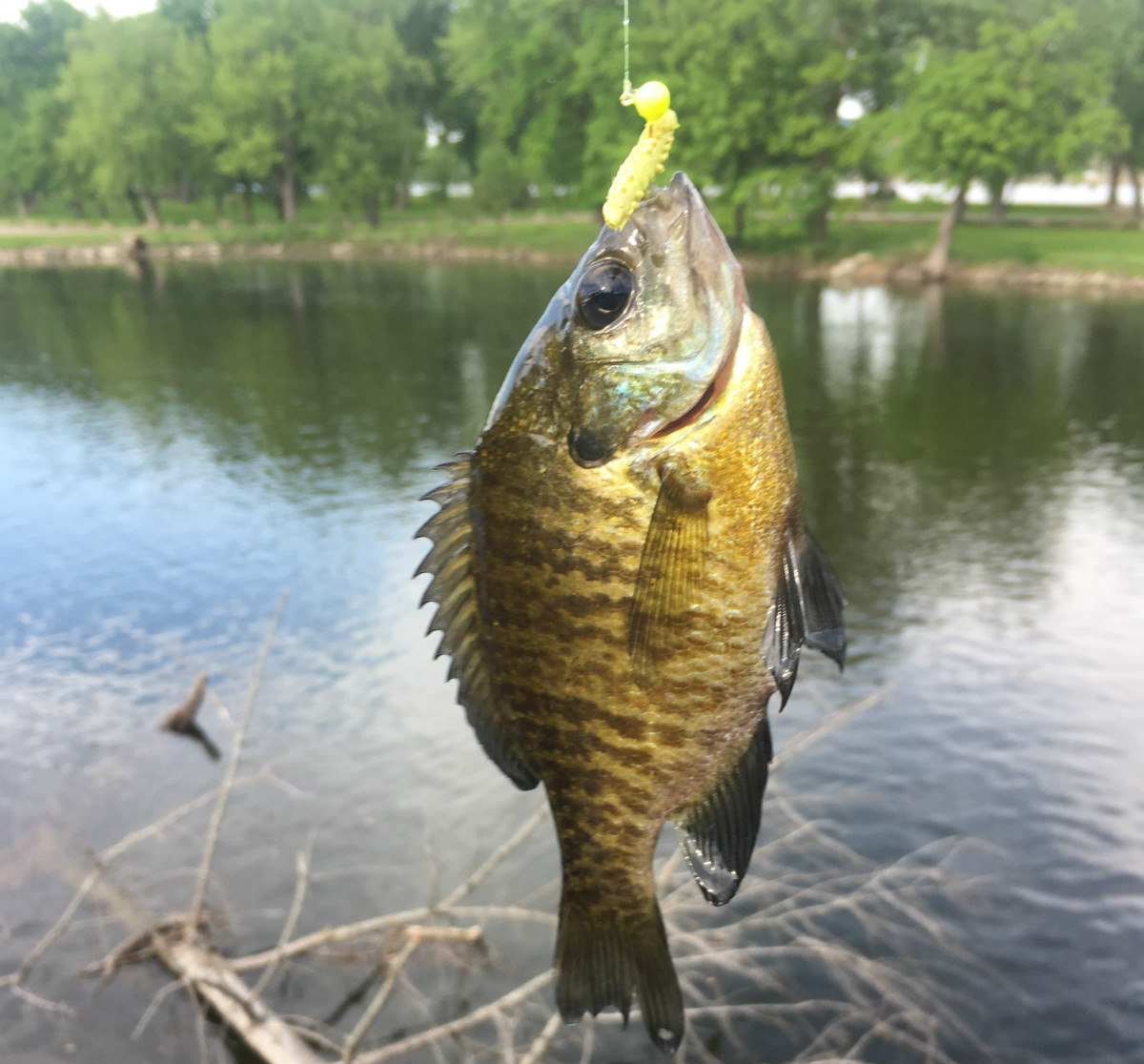 WKTY Outdoors - June 15 2019 - Chef Shawn Part One