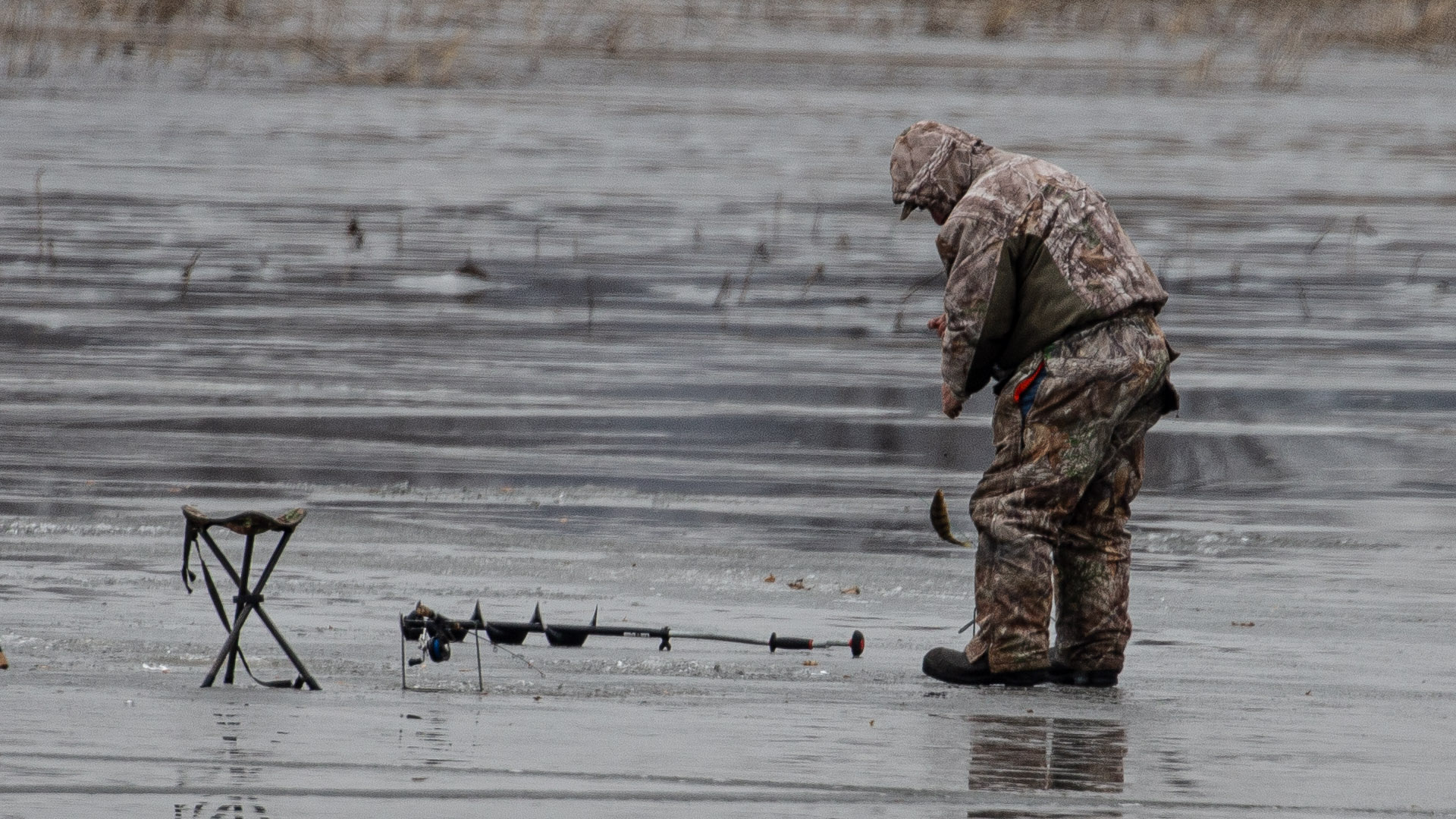 Dealing with cold weather