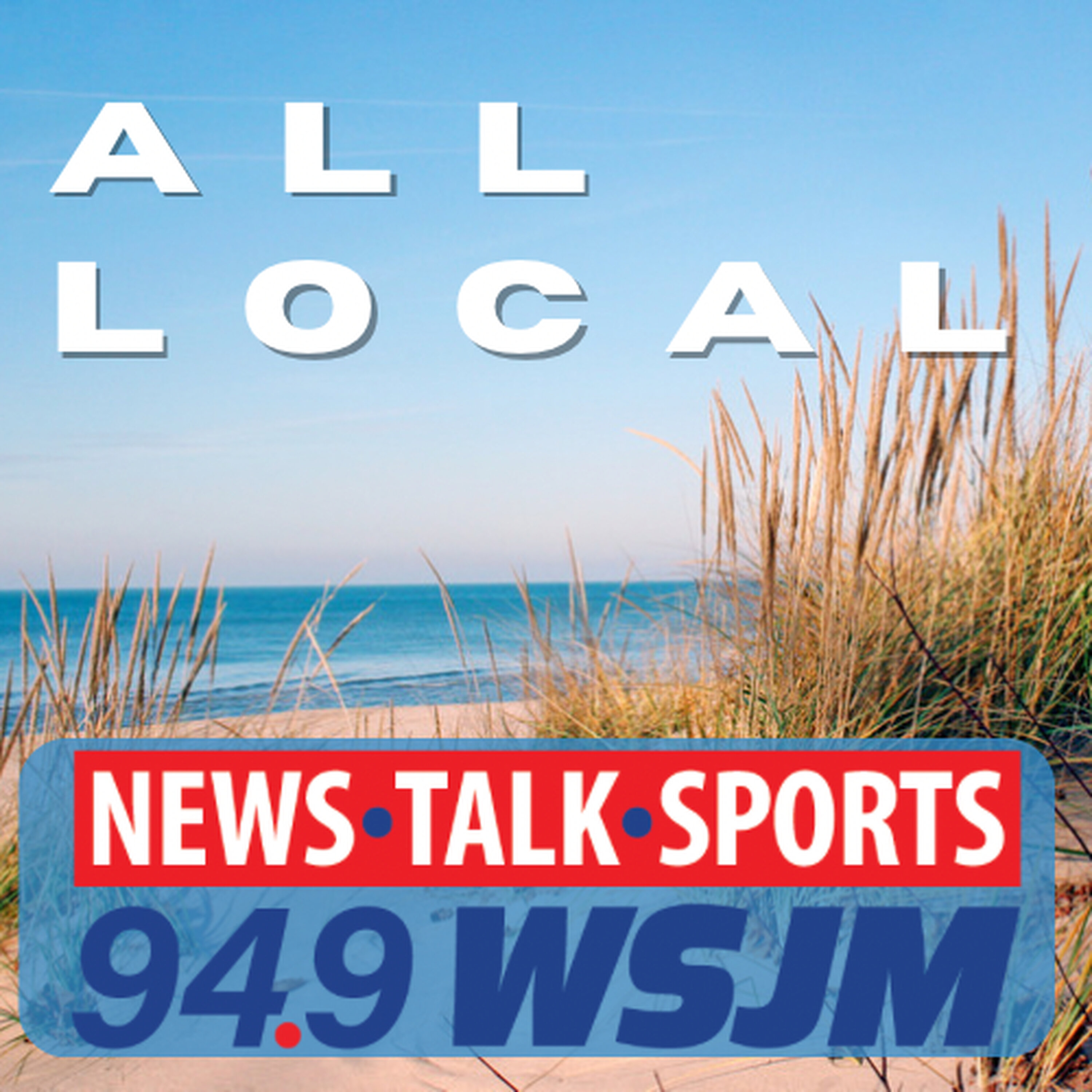 Southwest Michigan's Afternoon News: Decomposed body found in Cass County field; Sheriff looks forward to sharing Flock information episode artwork