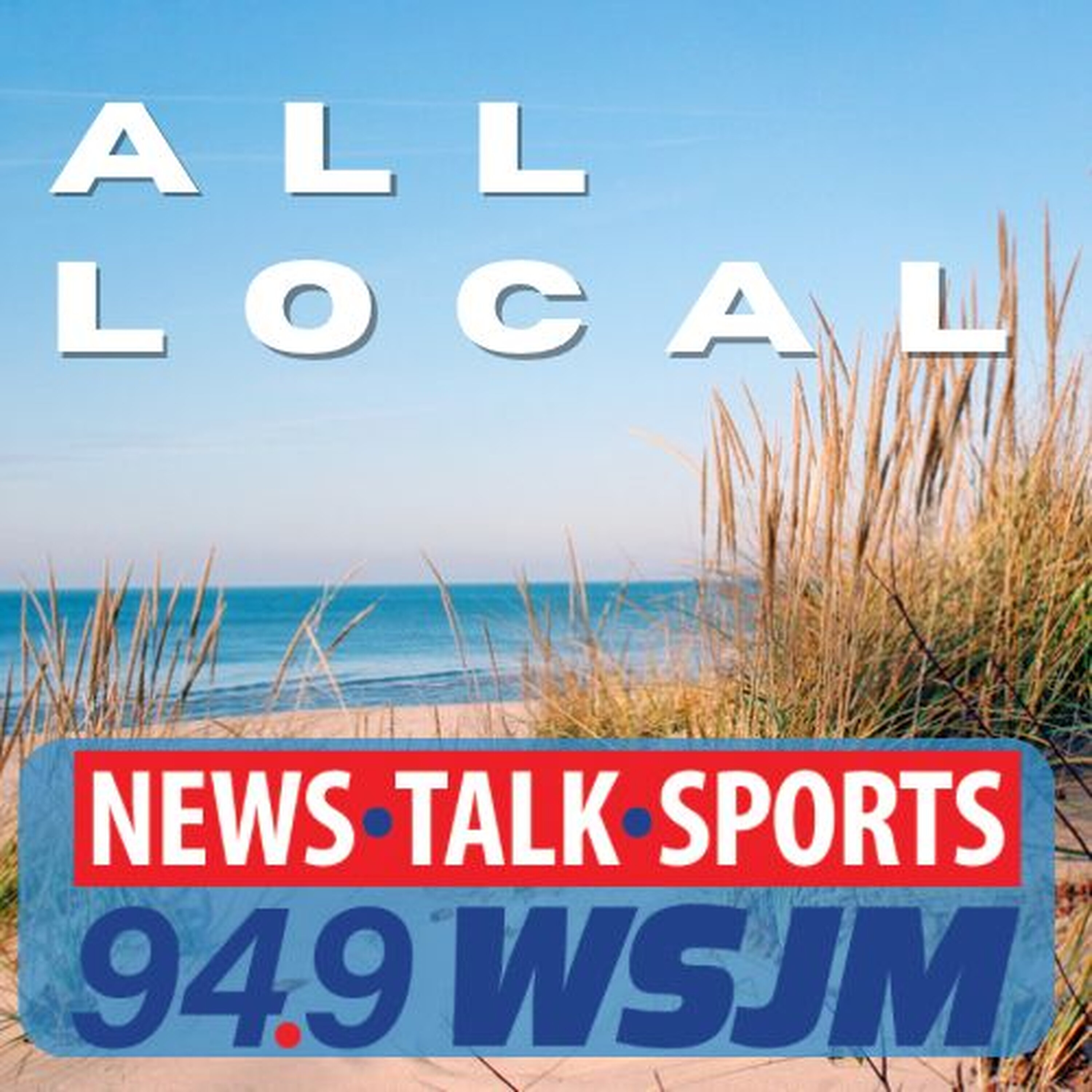 Southwest Michigan's Afternoon News for 08-12-26: St. Joseph replacing water meters; e-bike concerns in Lincoln Township; tiny park in St. Joe episode artwork