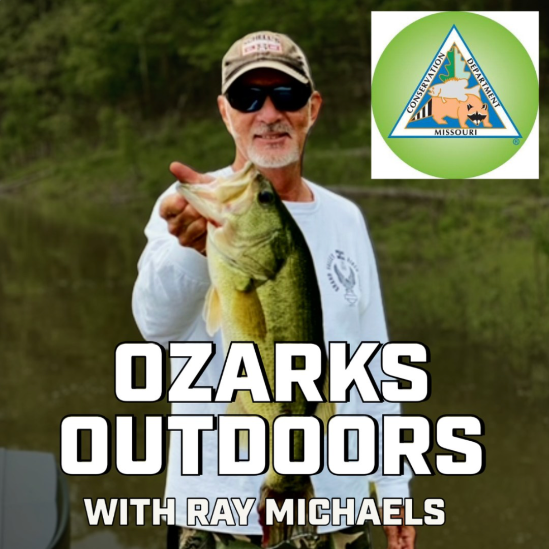 MDC Spring Fishing and Fish Habitat