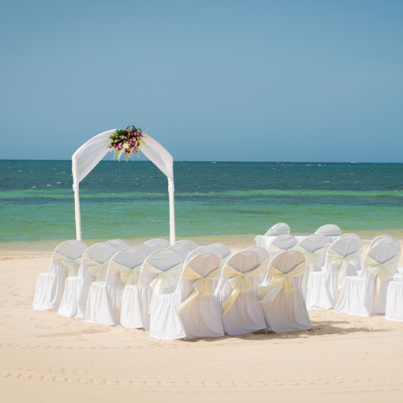 Invoicing absent wedding guests episode artwork