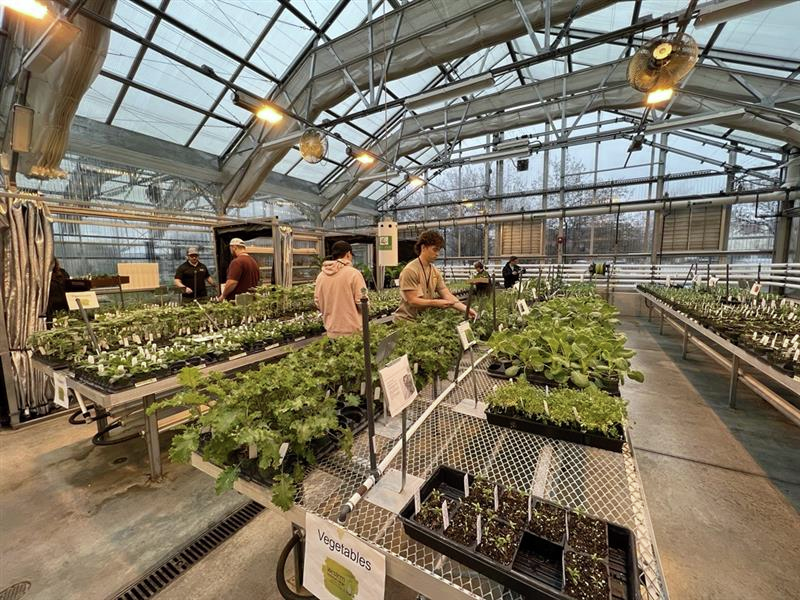 WTC's Cam and Jordan chat Spring Plant Sale