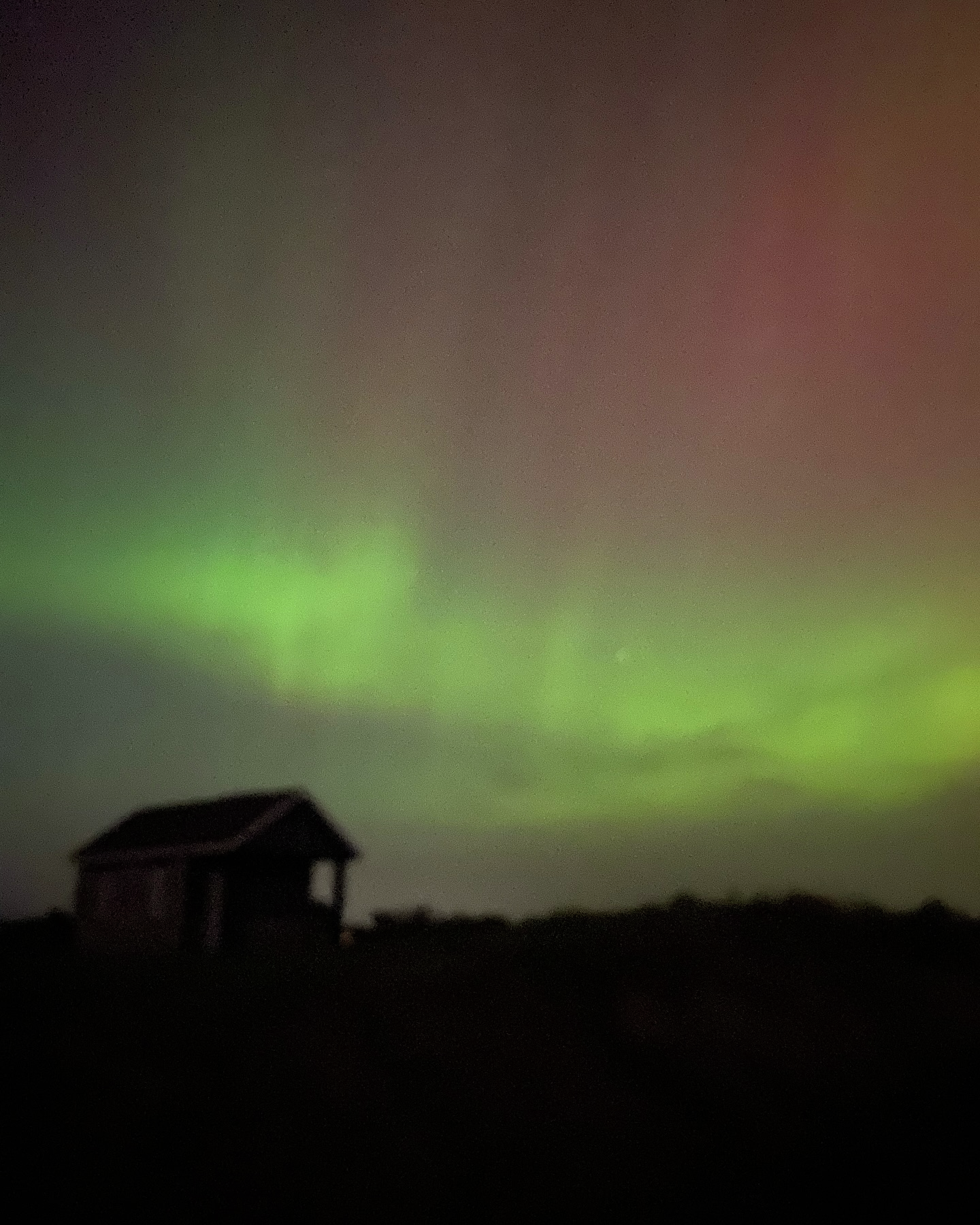 Did you see the Northern Lights?! episode artwork