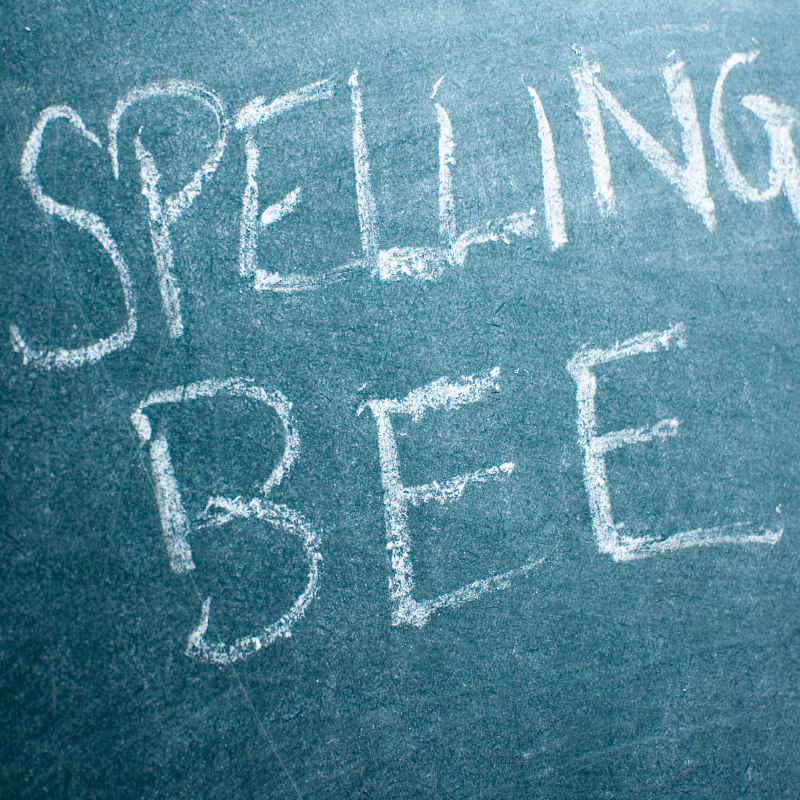 We are not cut out for a Spelling Bee episode artwork